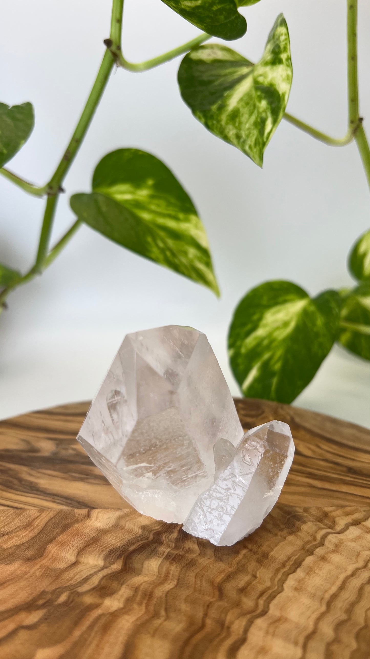 Bergkristall Spitze (#13)