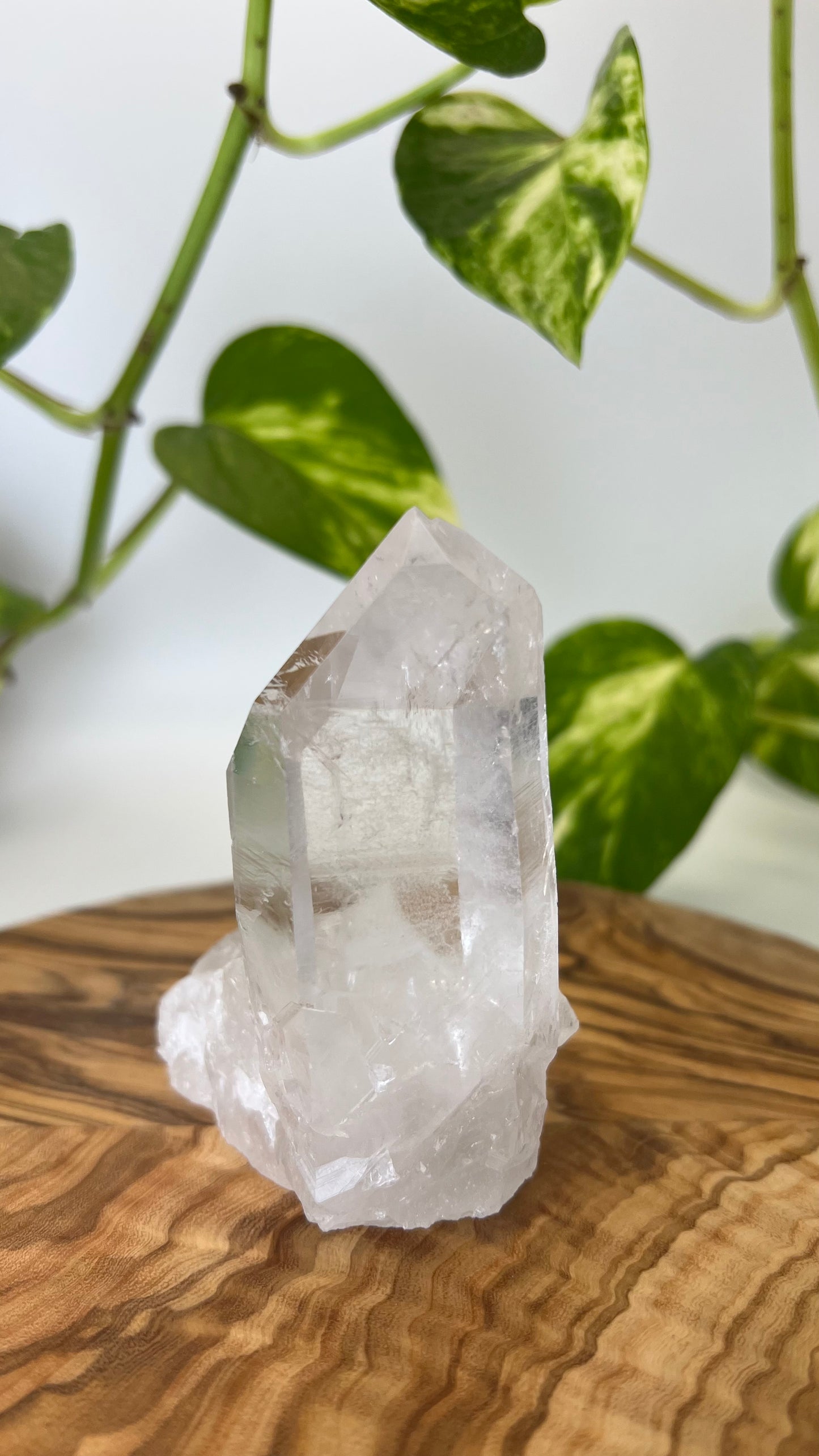 Bergkristall Spitze (#10)