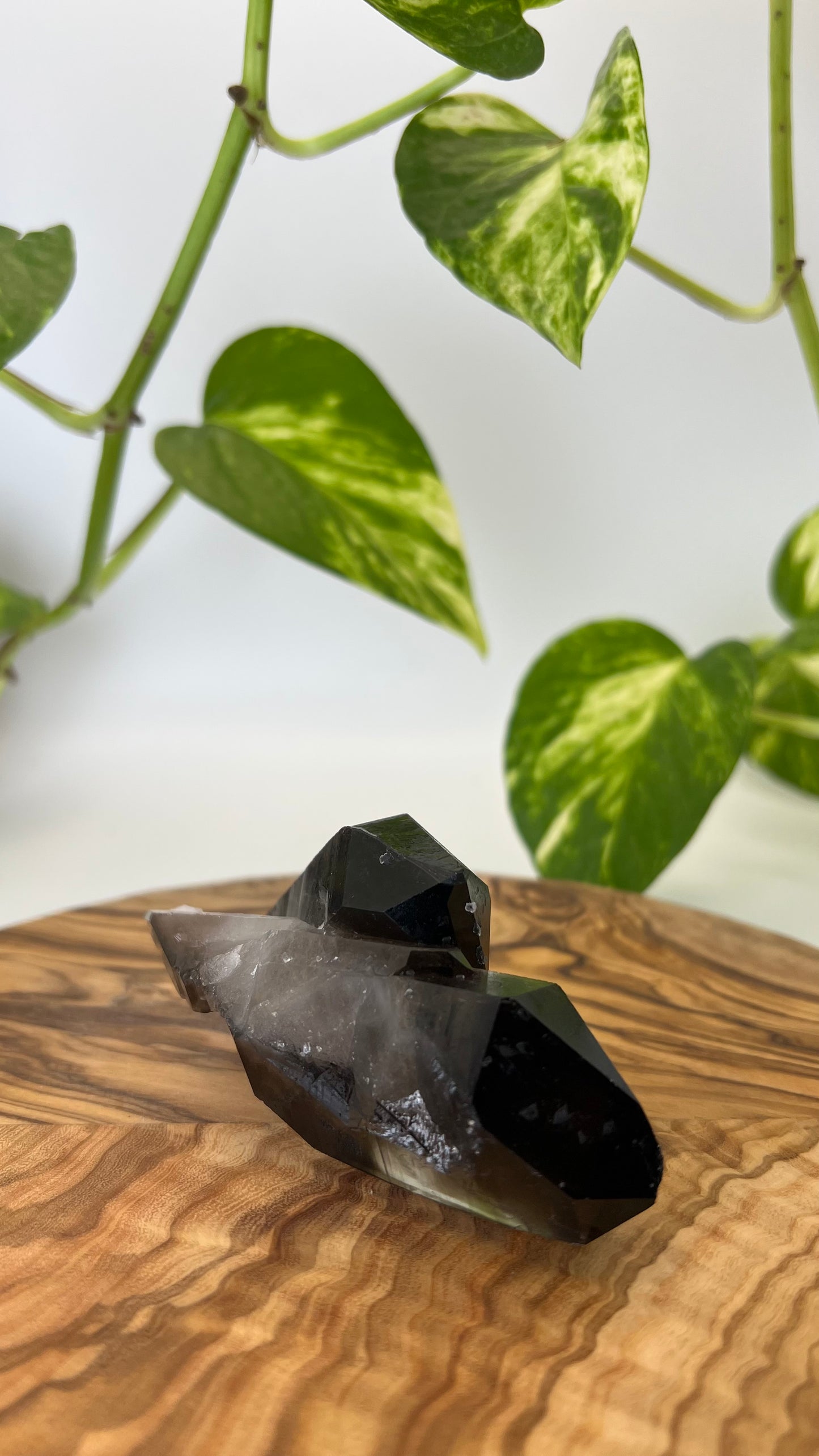 Rauchquarz Spitze (#7)