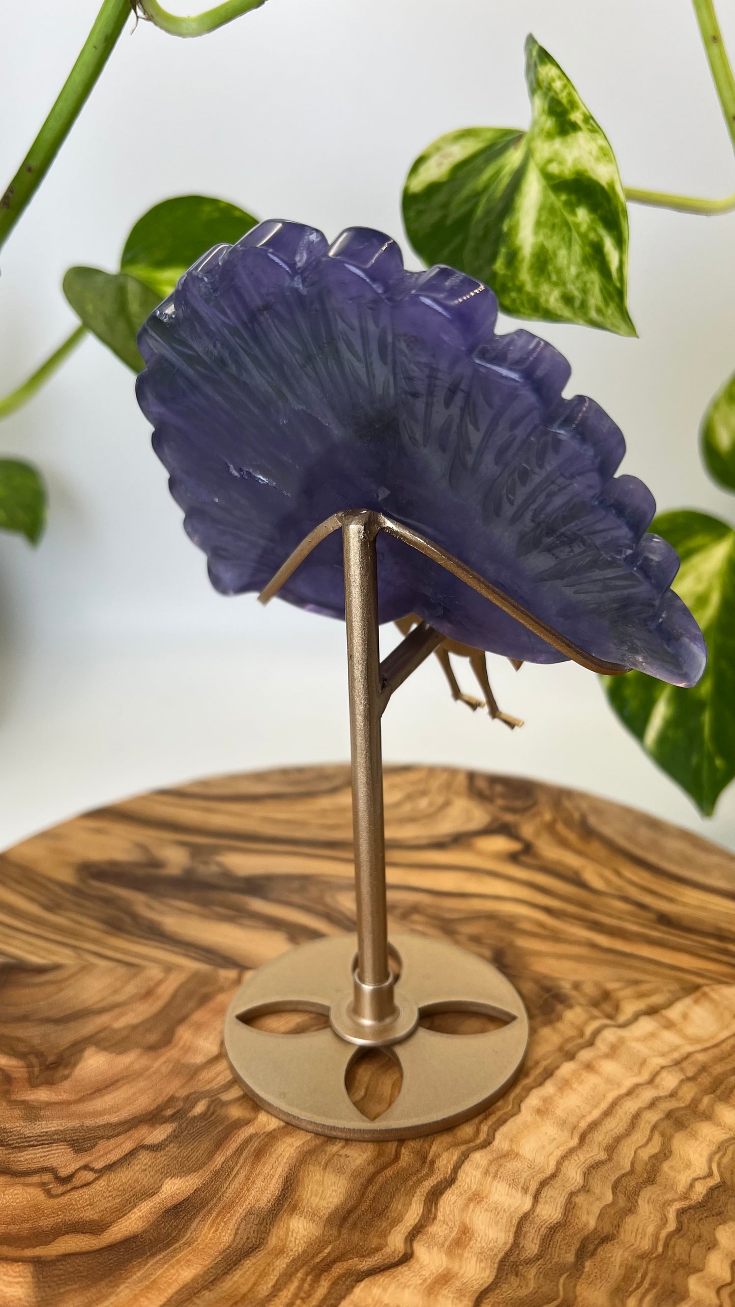 Fluorit Pfau (#19)