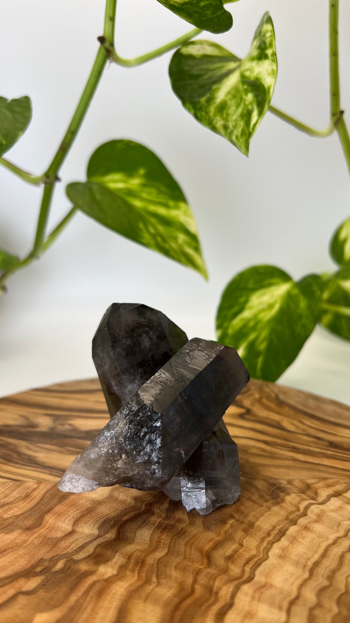 Rauchquarz Spitze (#8)