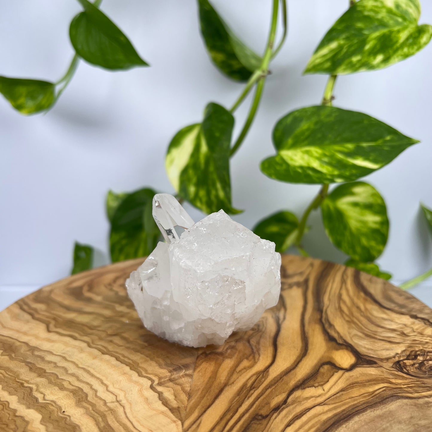 Bergkristall Spitze (#2)