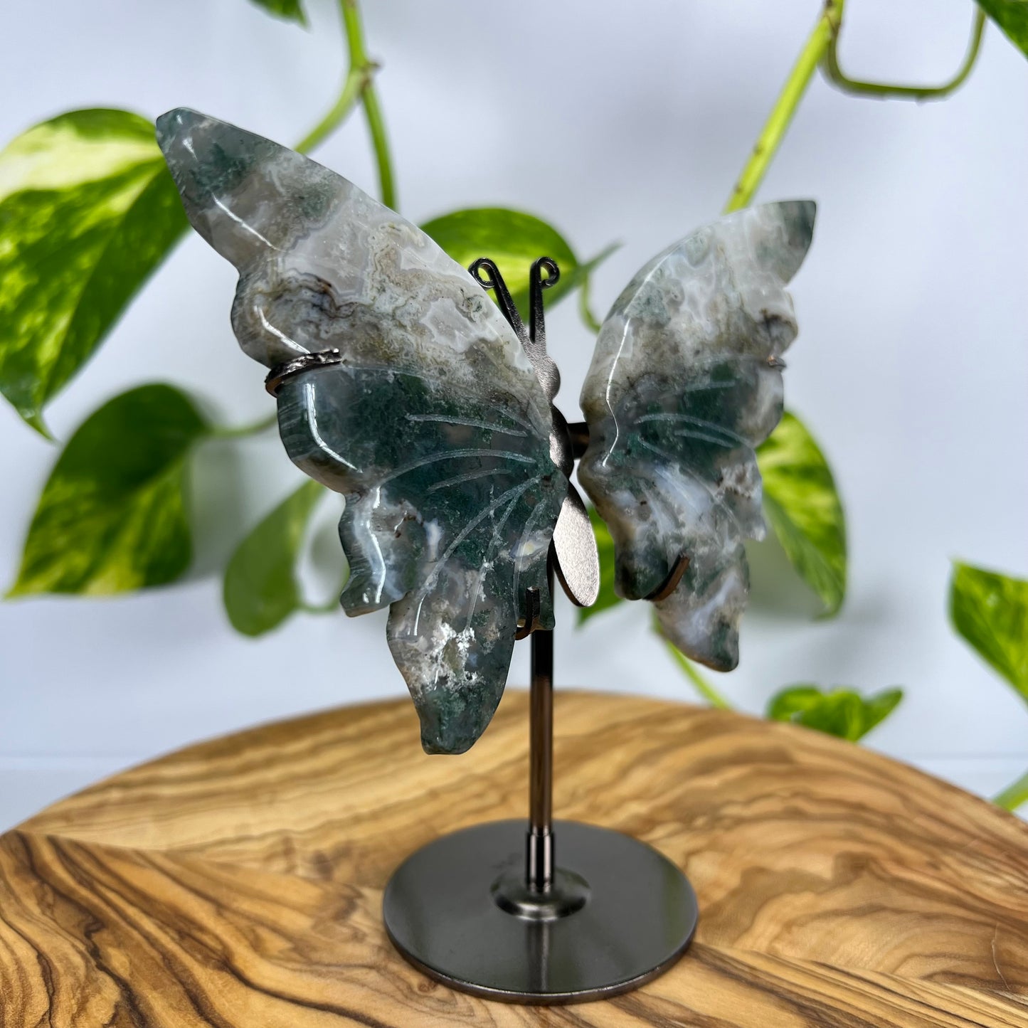 Moos-Achat Schmetterling (#4)