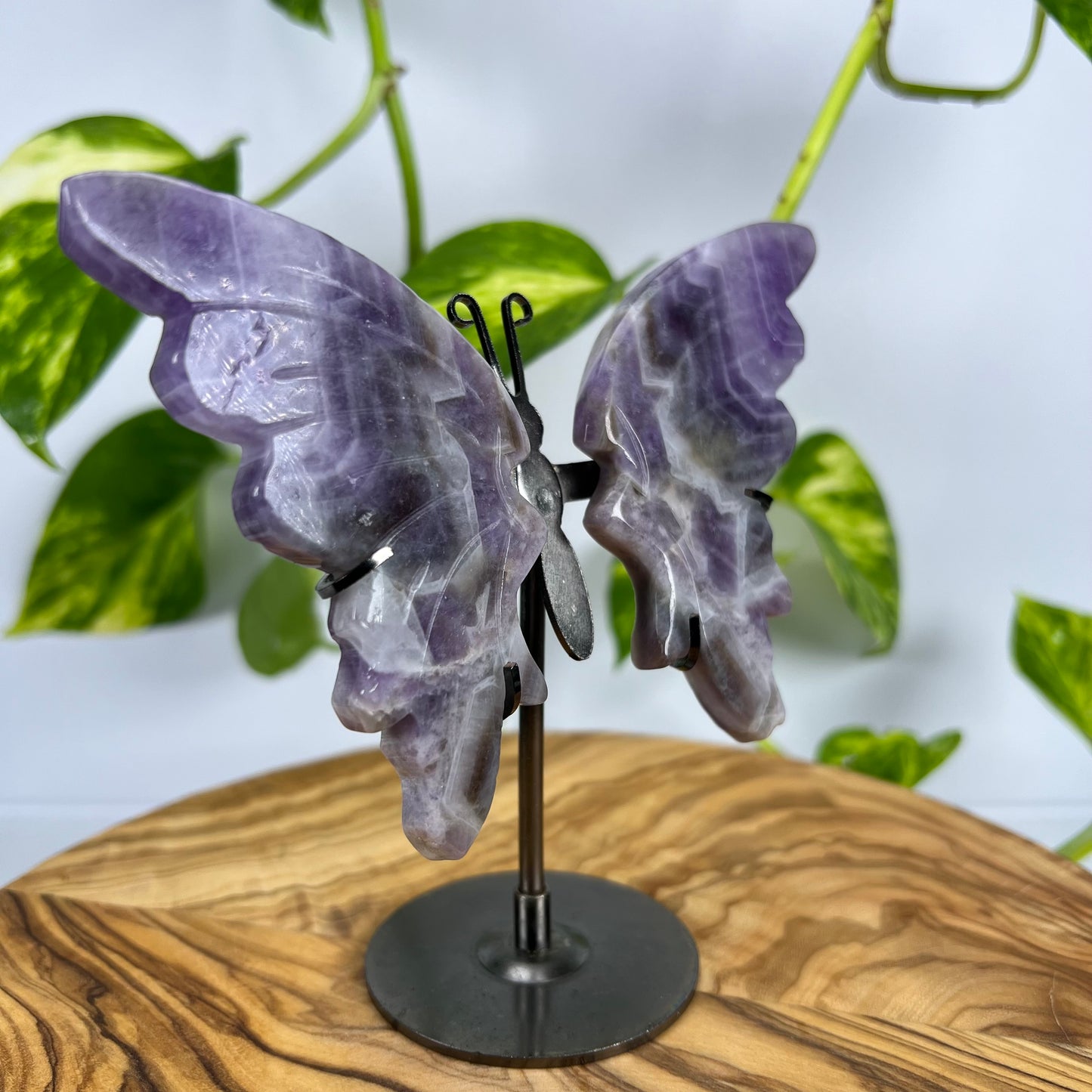 Amethyst Schmetterling (#3)