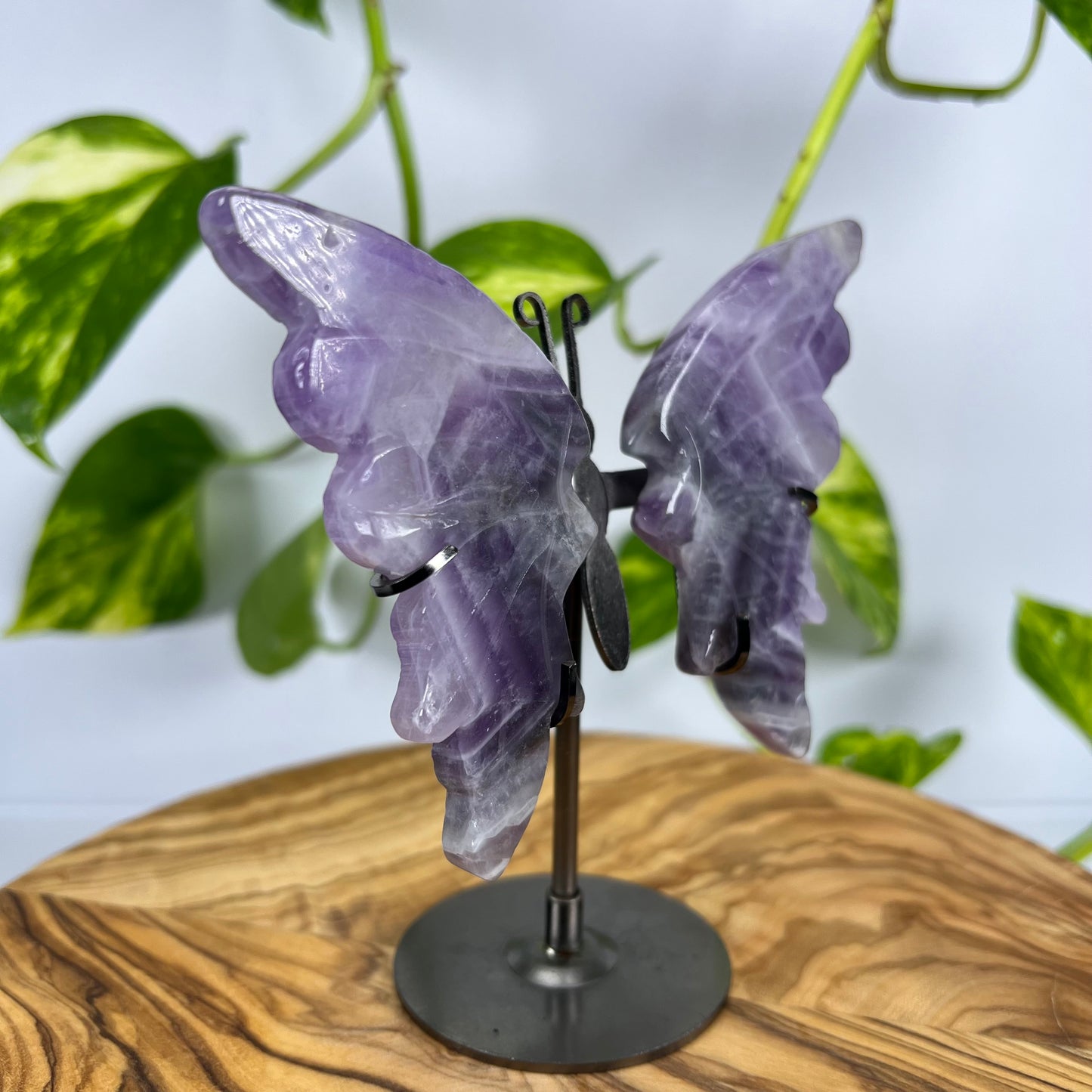 Amethyst Schmetterling (#4)