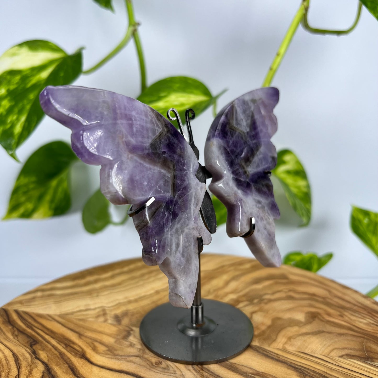 Amethyst Schmetterling (#5)