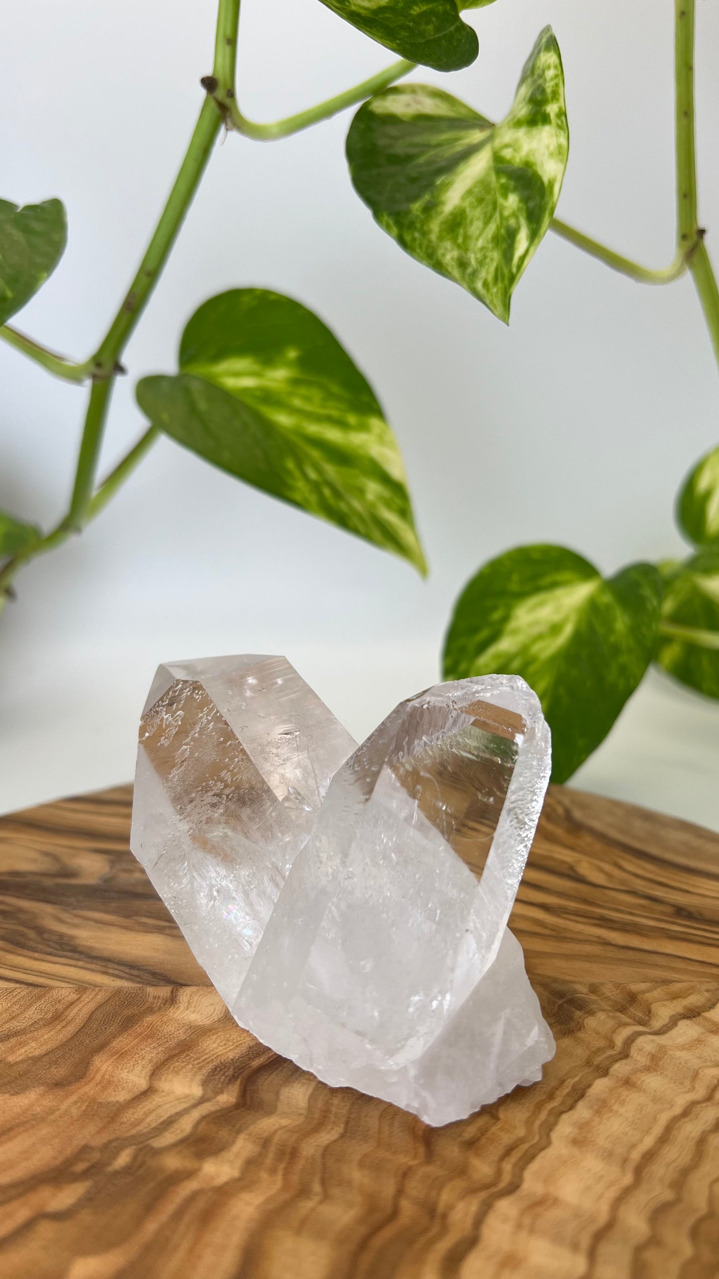 Bergkristall Spitze (#9)