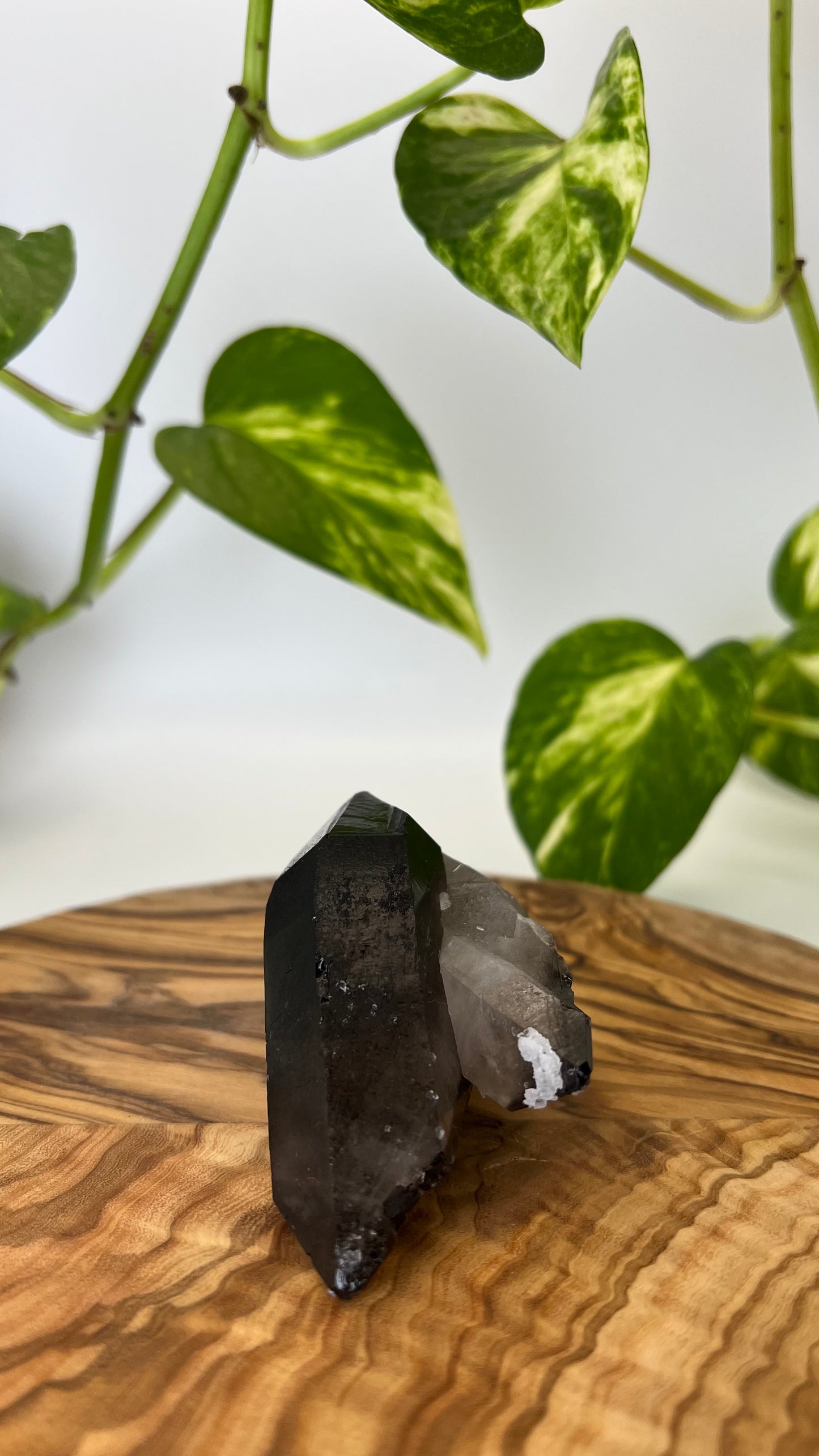 Rauchquarz Spitze (#7)