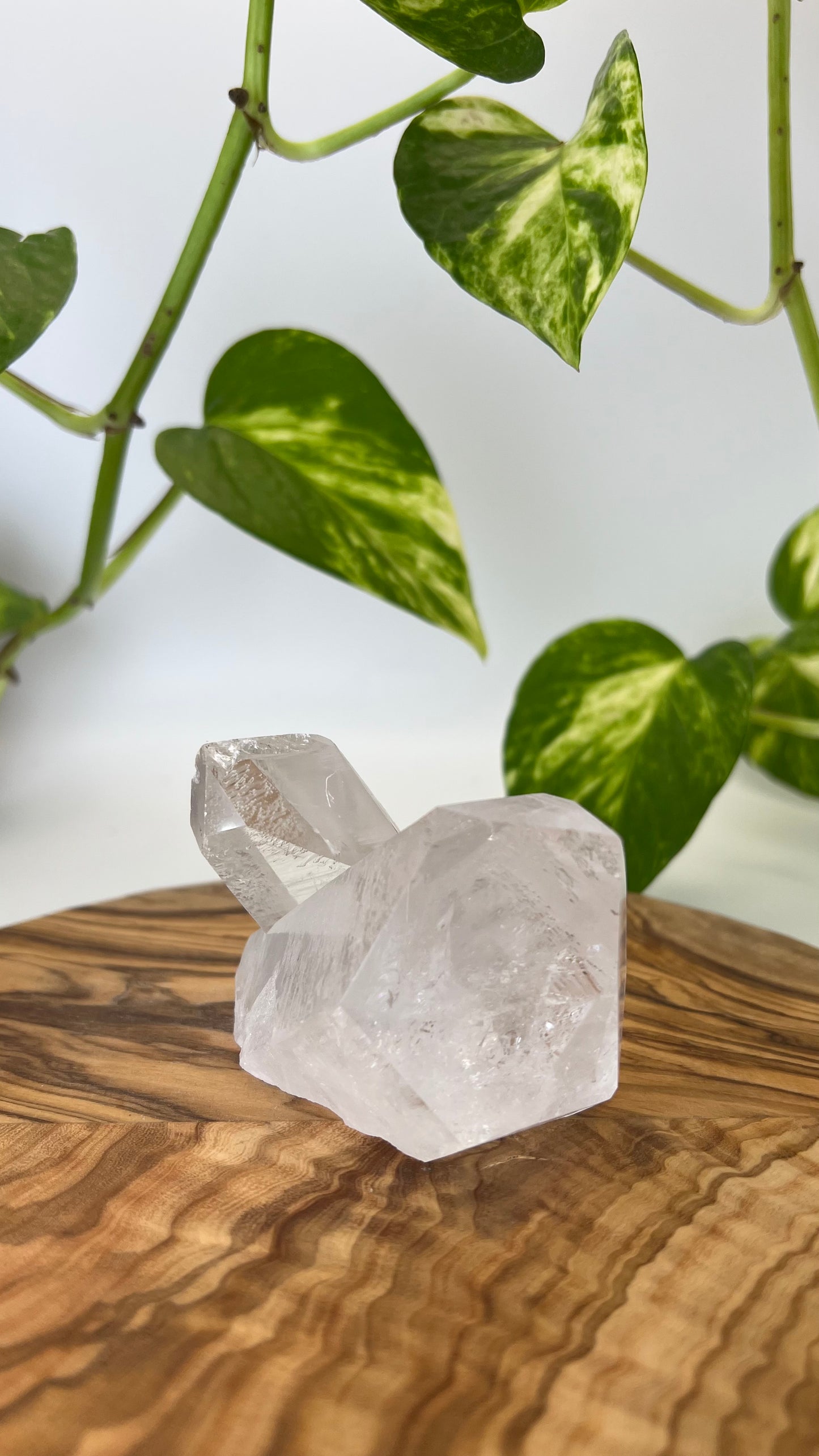 Bergkristall Spitze (#9)