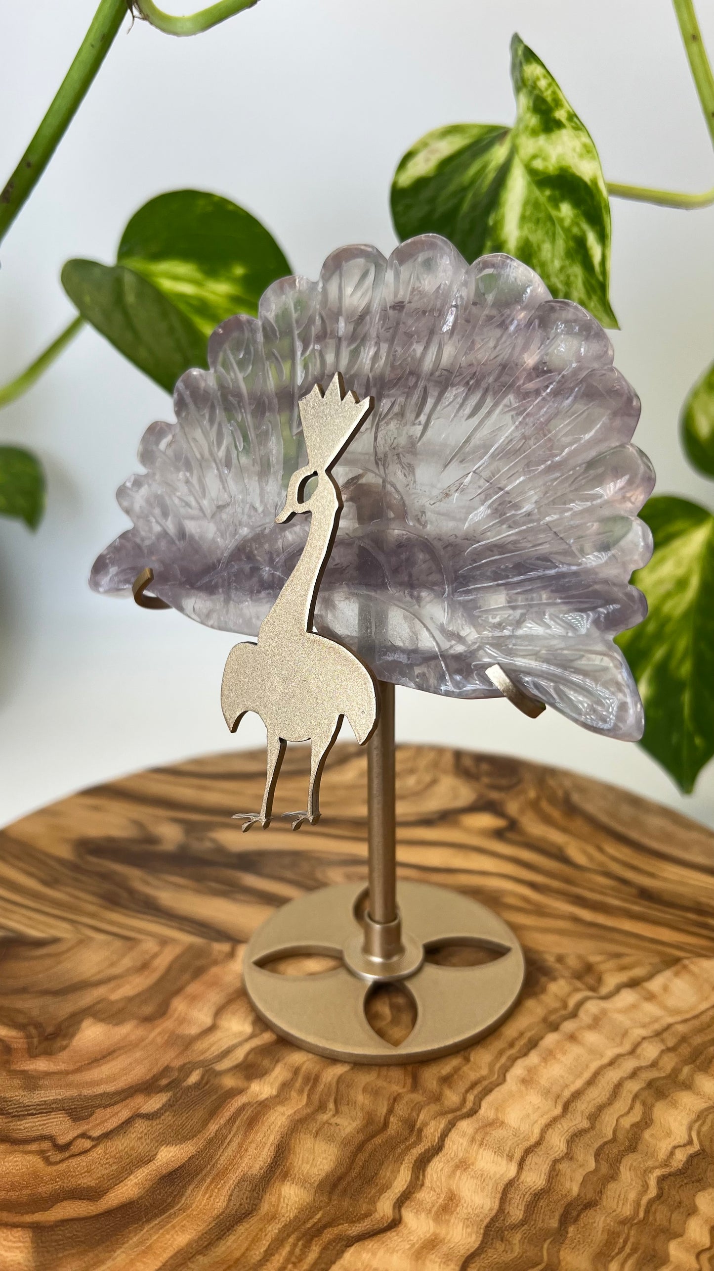Fluorit Pfau (#18)