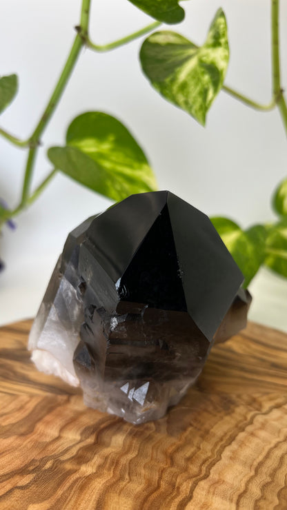 Rauchquarz Spitze (#4)