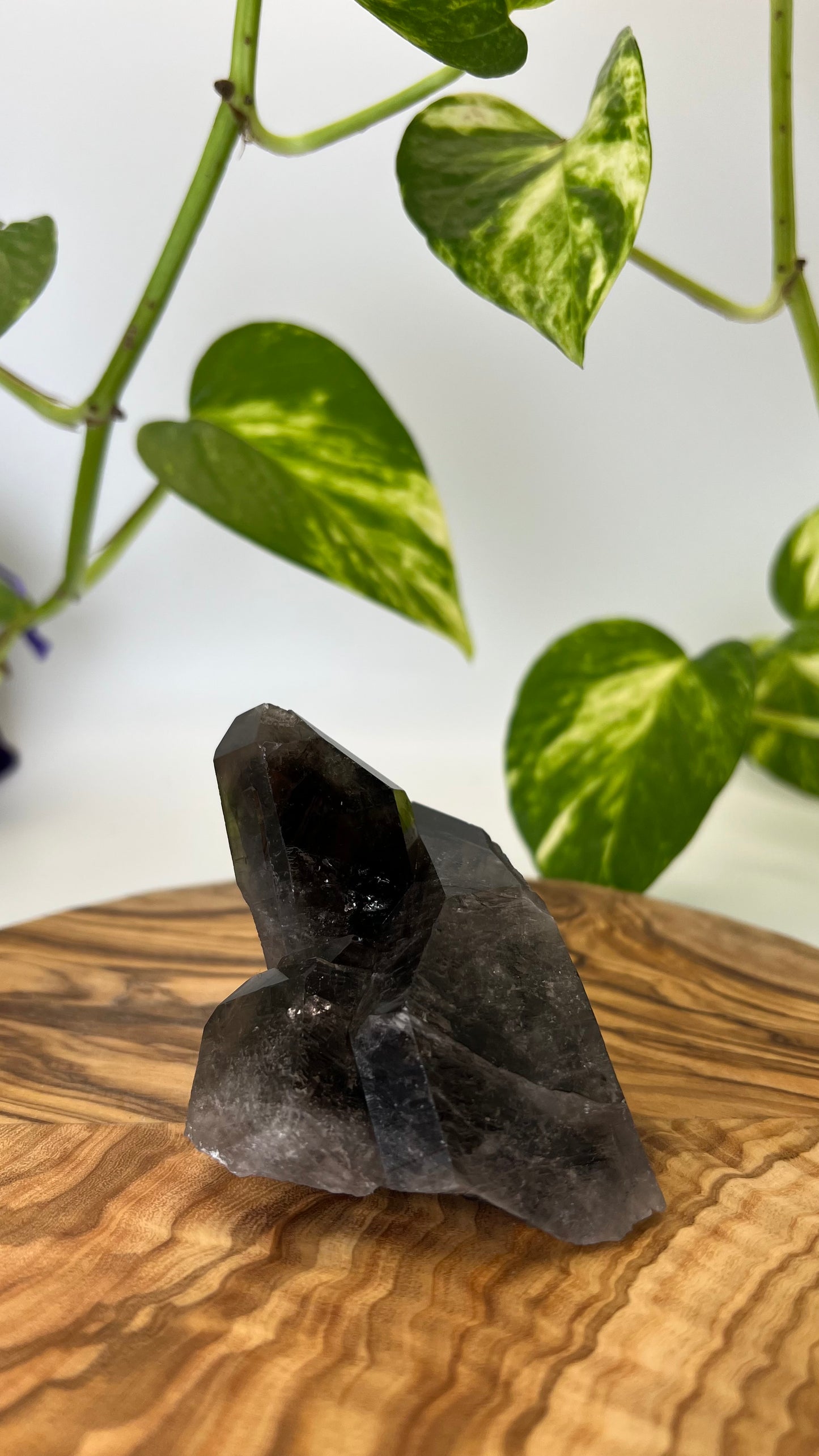 Rauchquarz Spitze (#5)