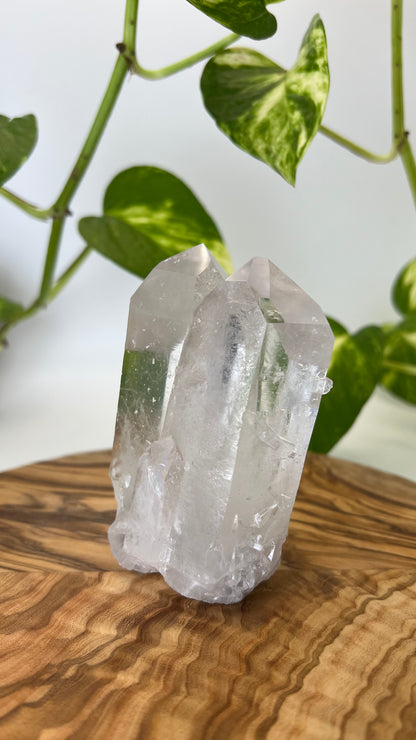 Bergkristall Spitze (#8)