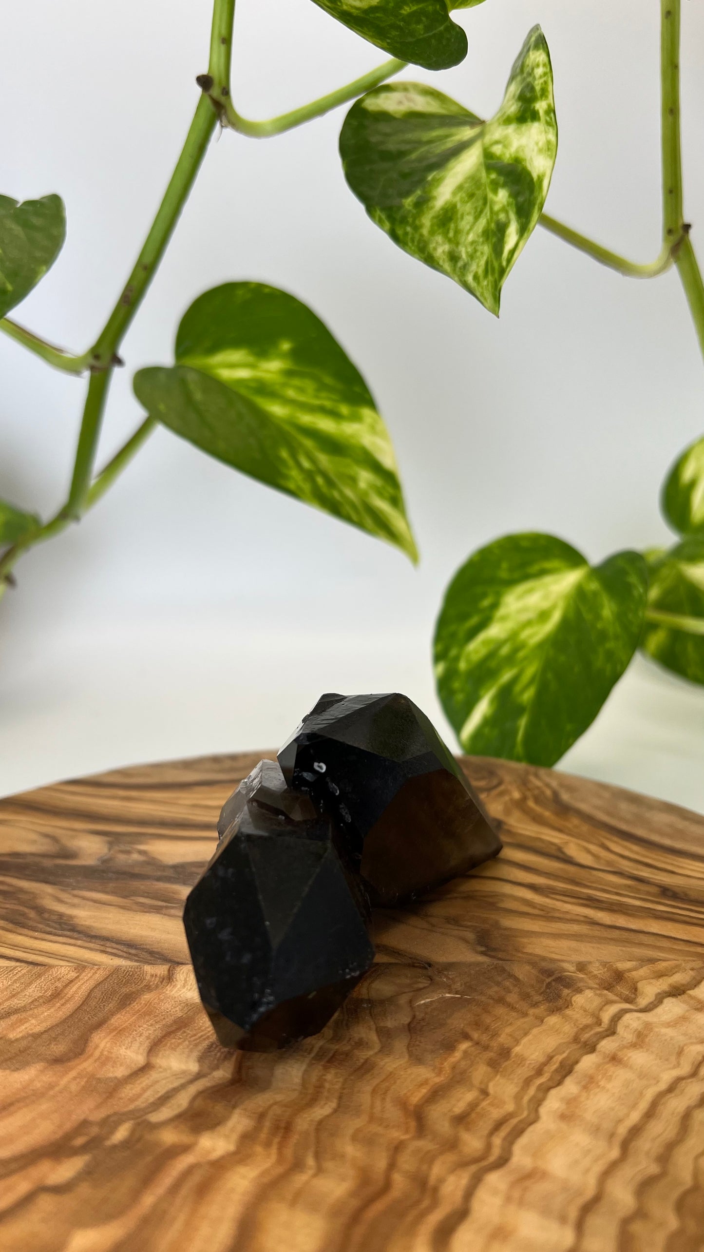 Rauchquarz Spitze (#7)