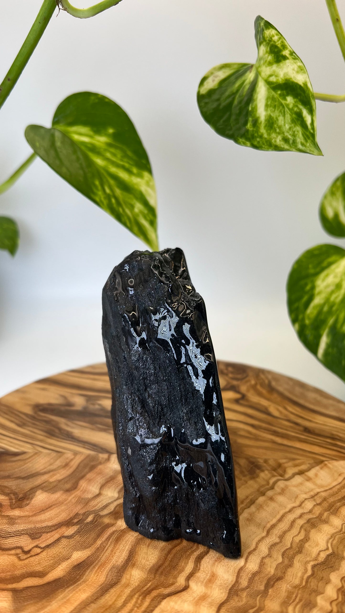 Specularit Stand Up (#1)