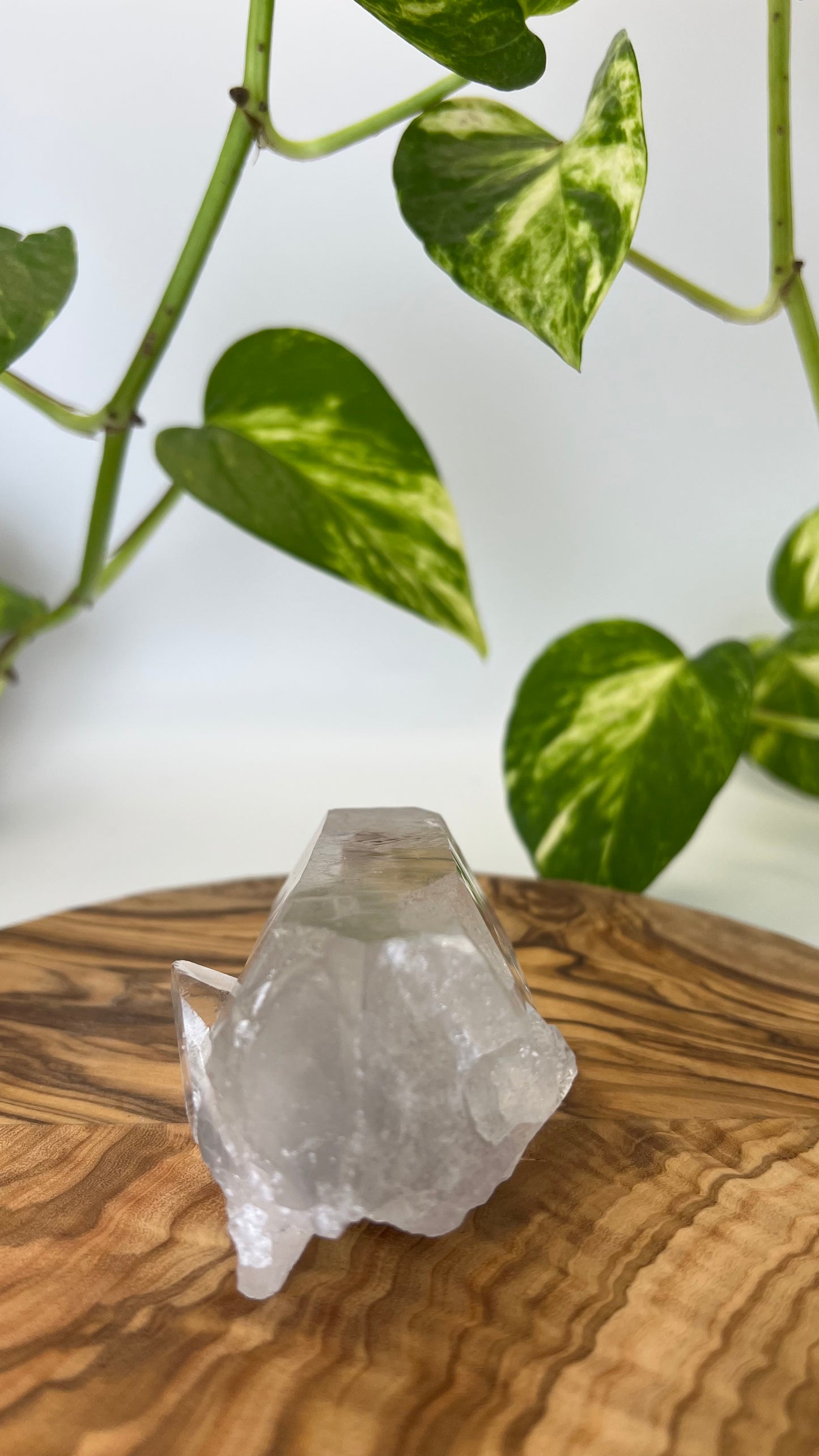 Bergkristall Spitze (#12)