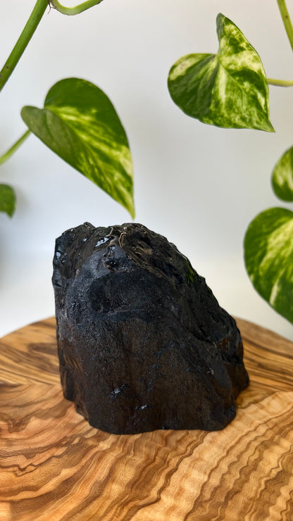 Specularit Stand Up (#1)