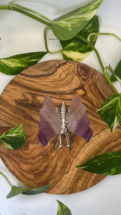 Fluorit Schmetterling (#15)