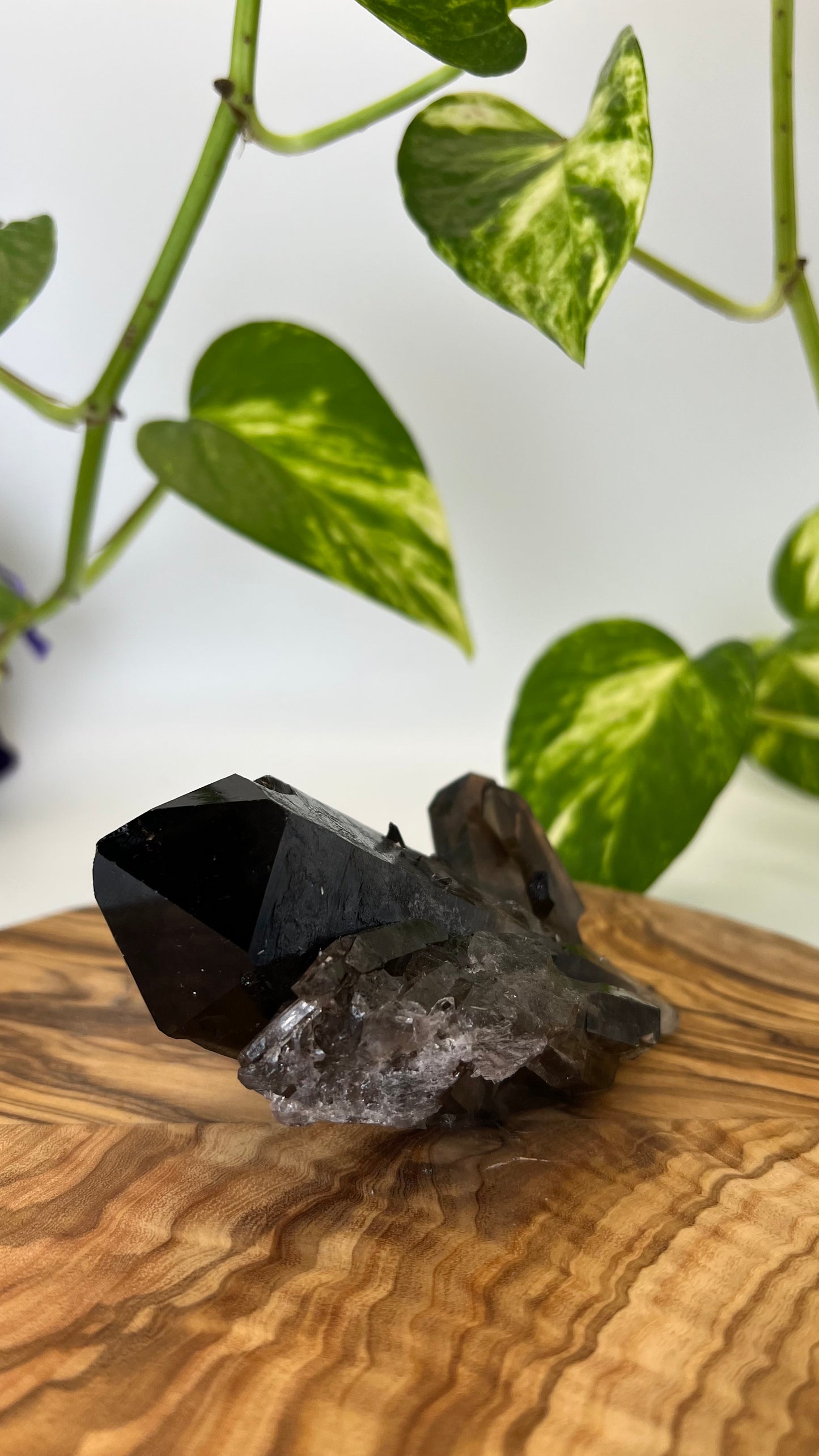 Rauchquarz Spitze (#3)