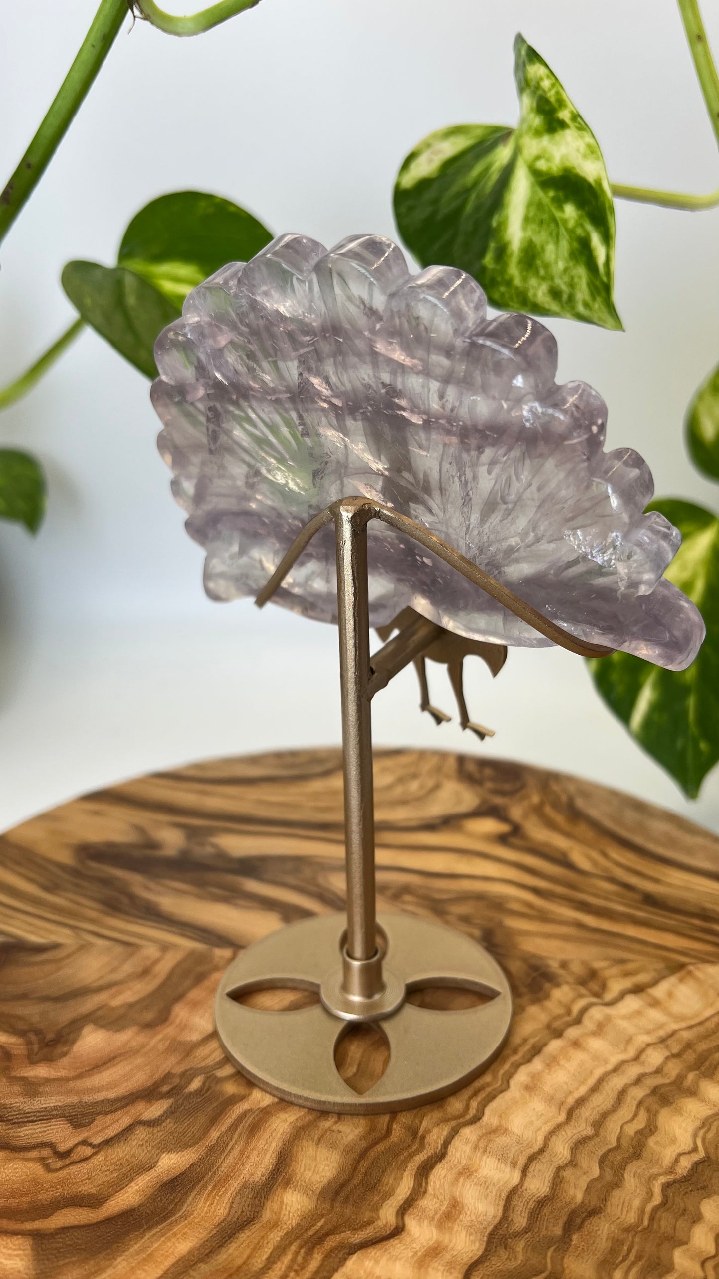 Fluorit Pfau (#18)
