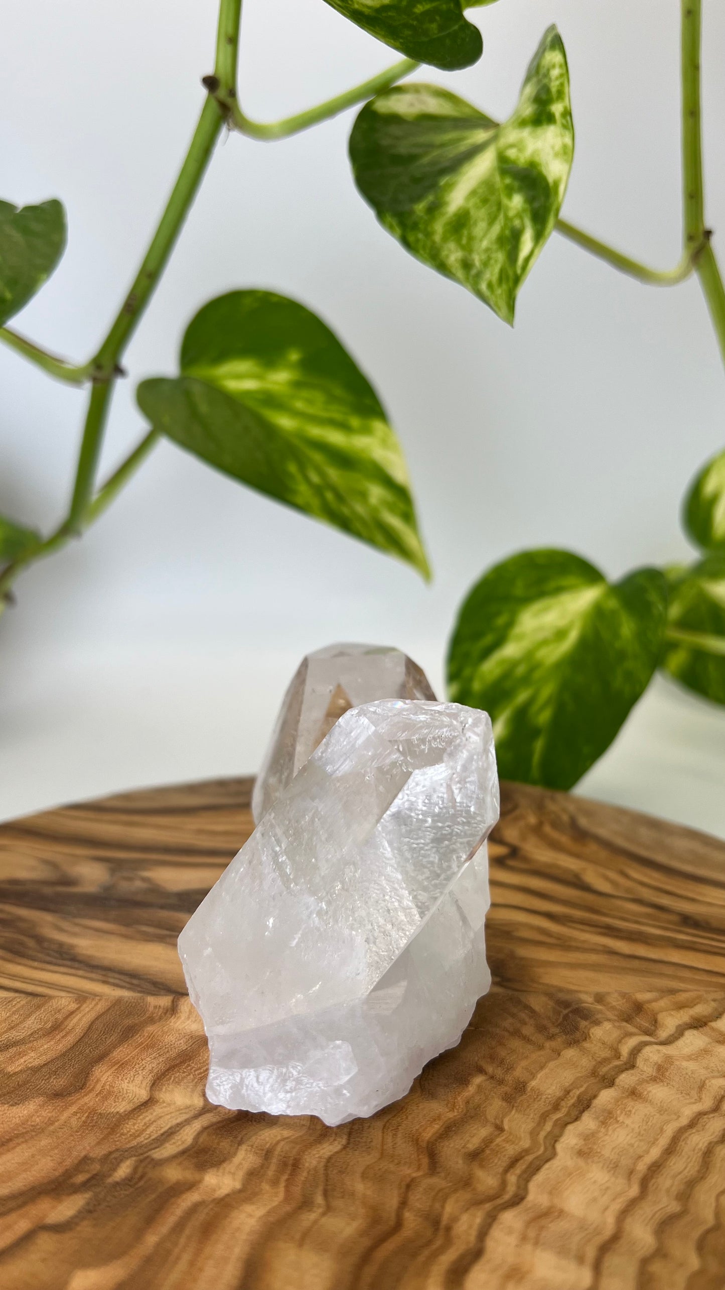 Bergkristall Spitze (#9)