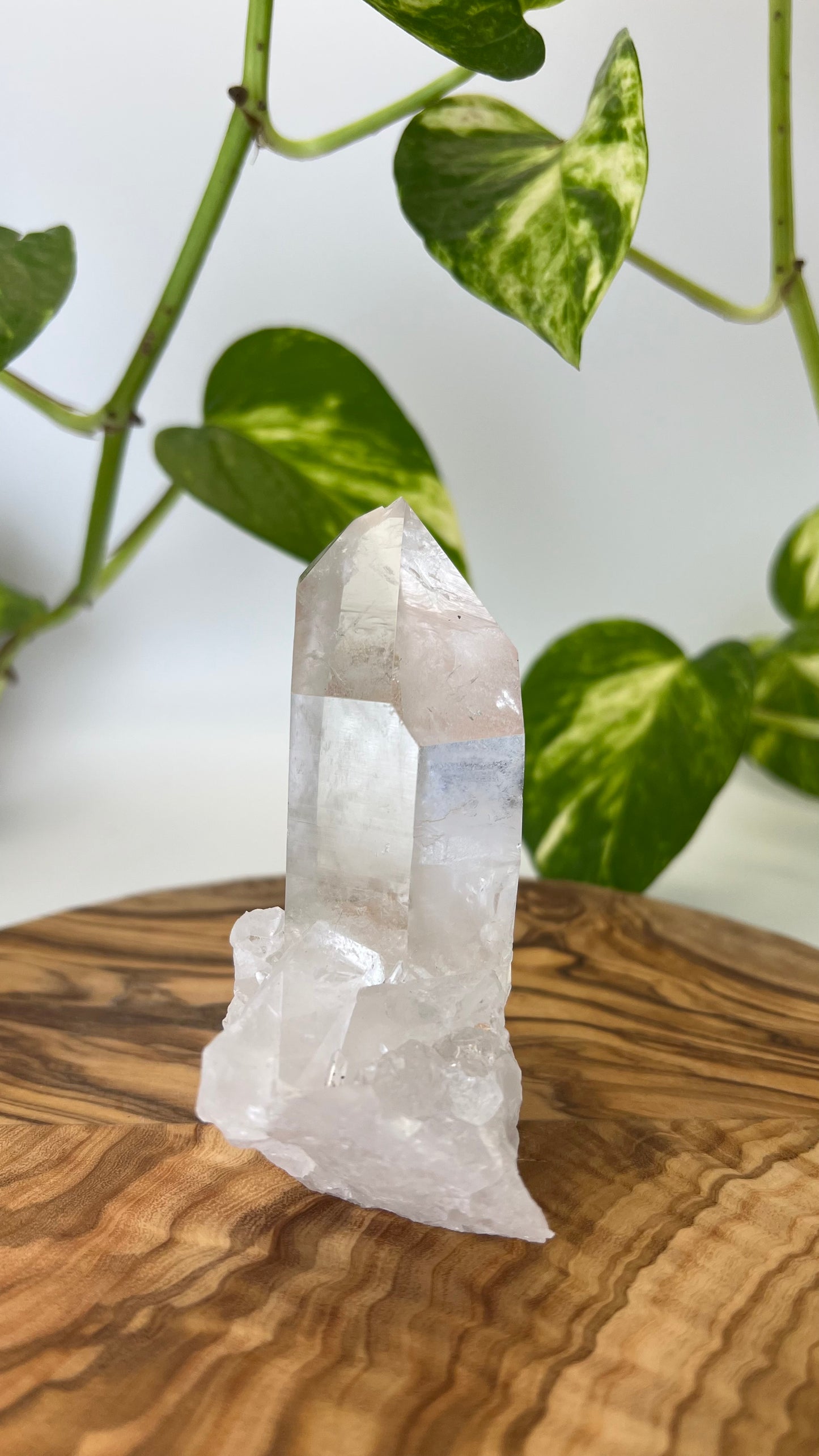 Bergkristall Spitze (#10)