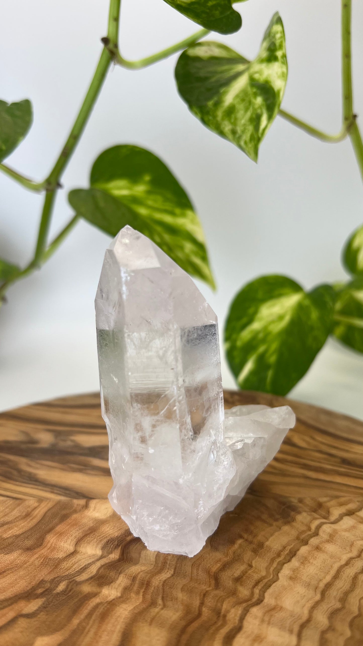 Bergkristall Spitze (#10)