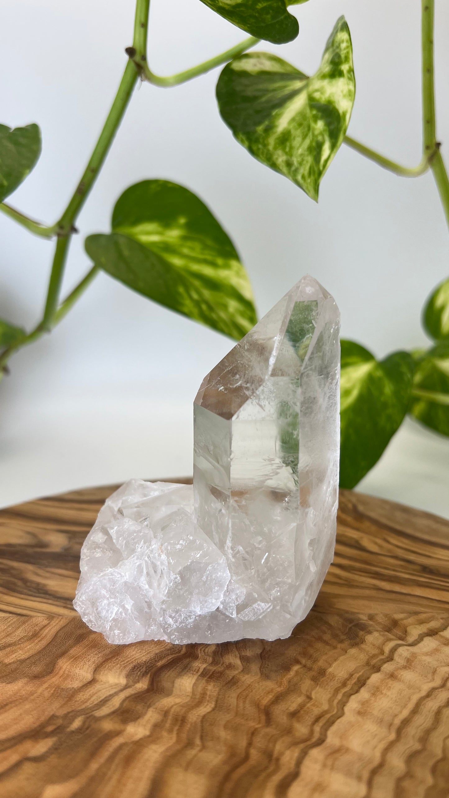 Bergkristall Spitze (#10)