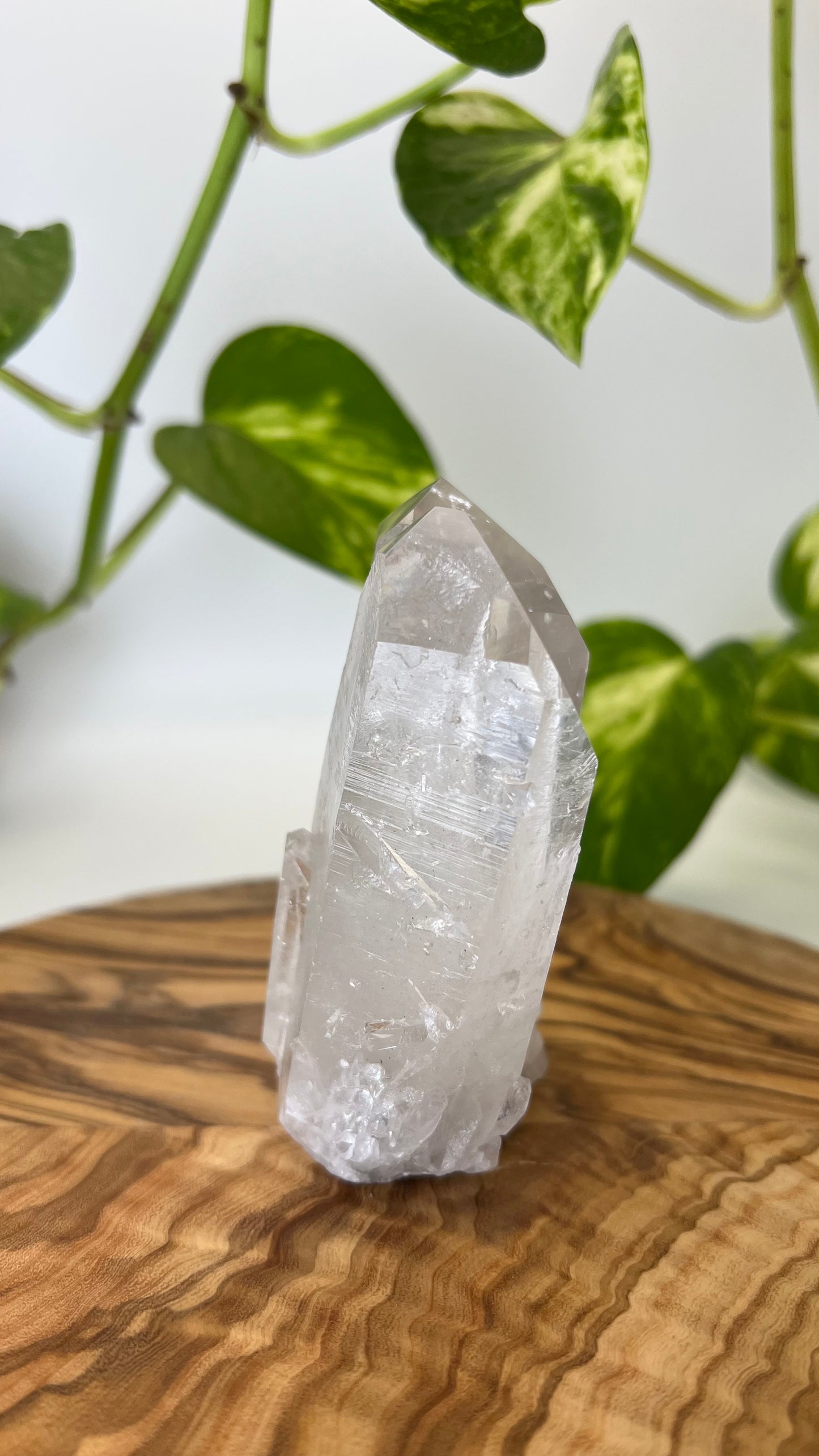 Bergkristall Spitze (#8)