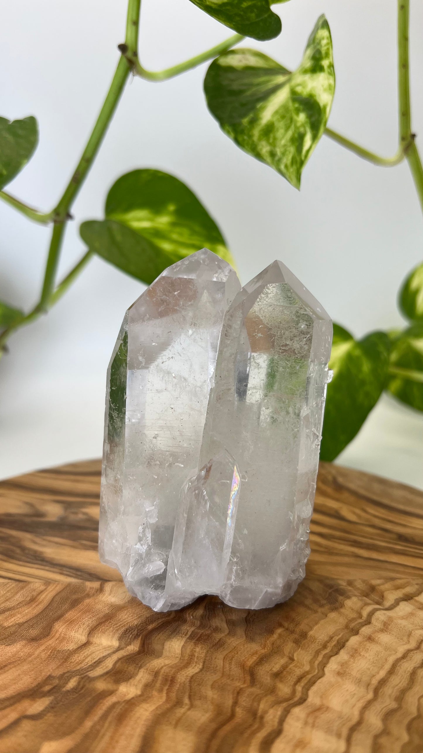 Bergkristall Spitze (#8)