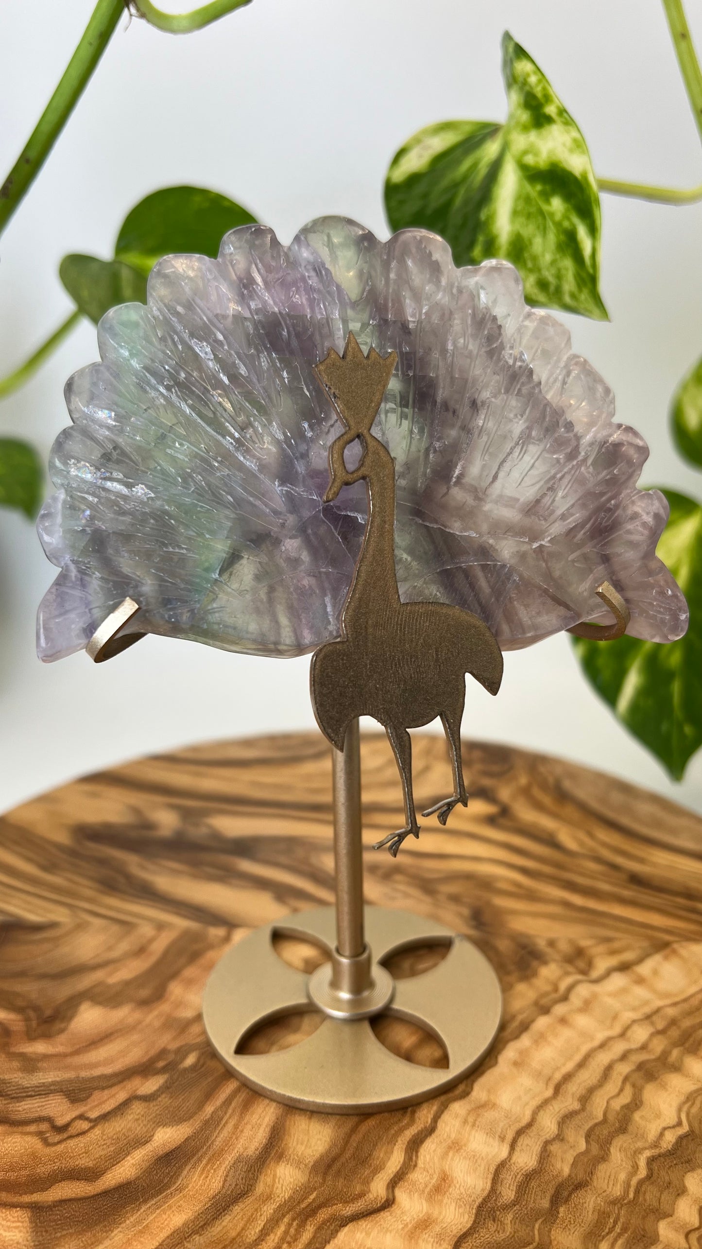 Fluorit Pfau (#22)