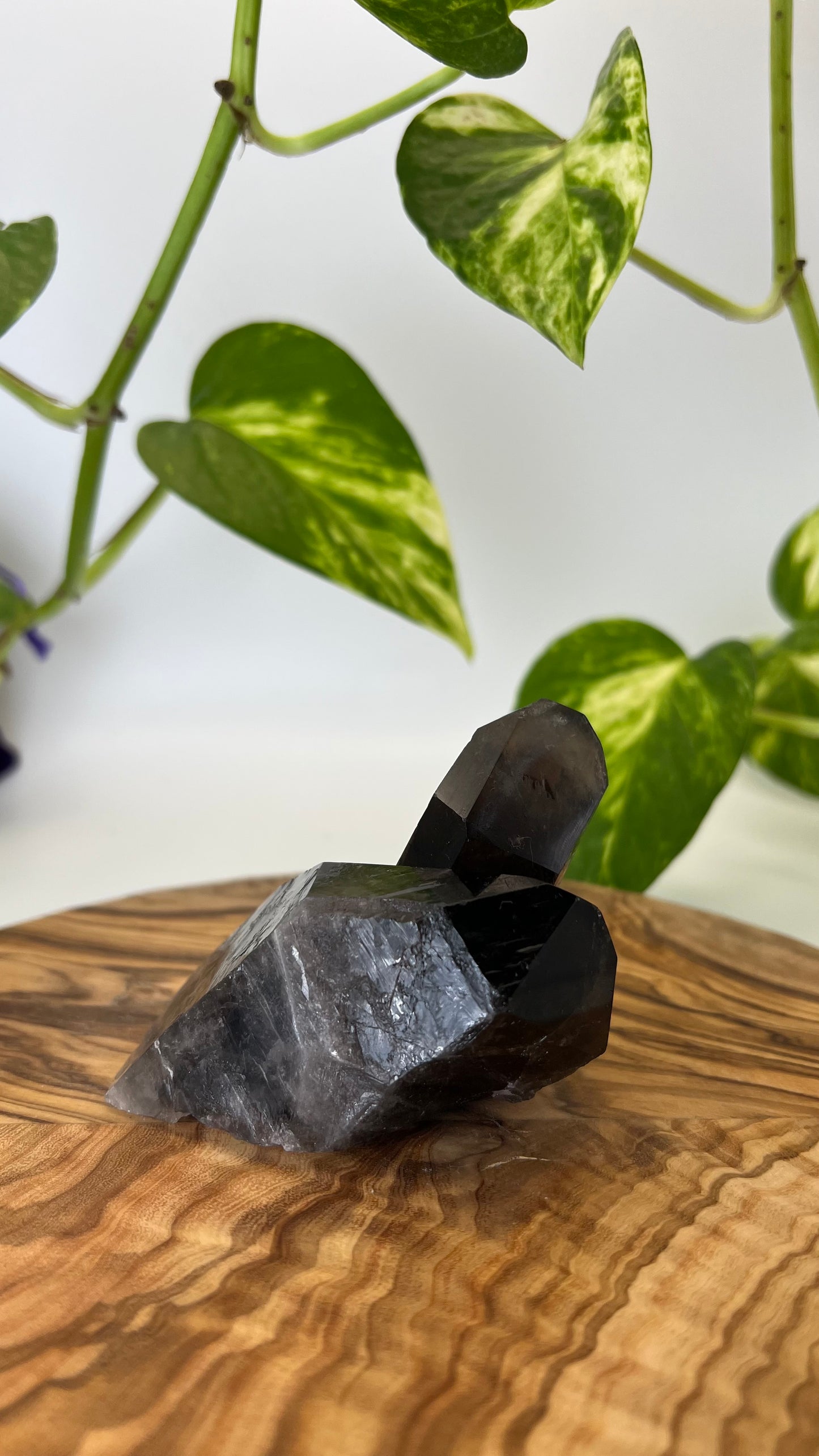 Rauchquarz Spitze (#5)