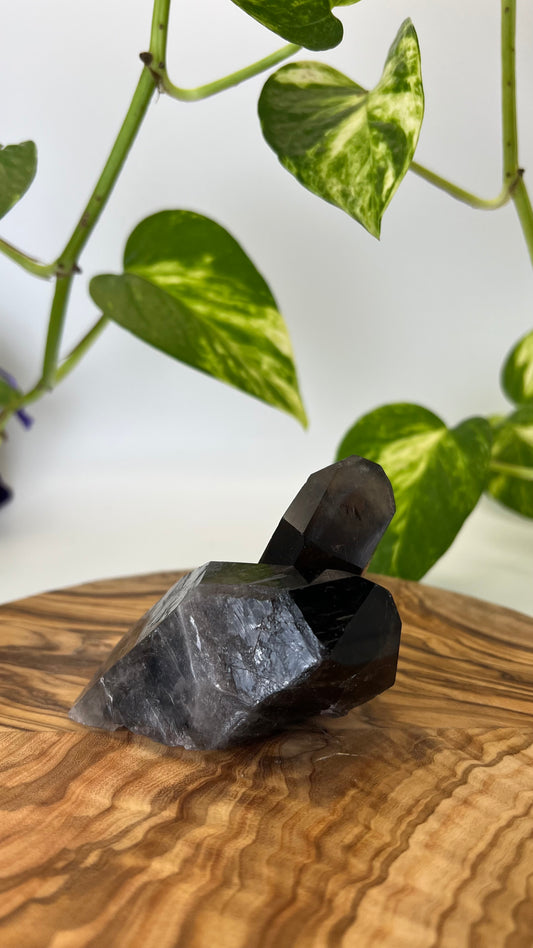 Rauchquarz Spitze (#5)