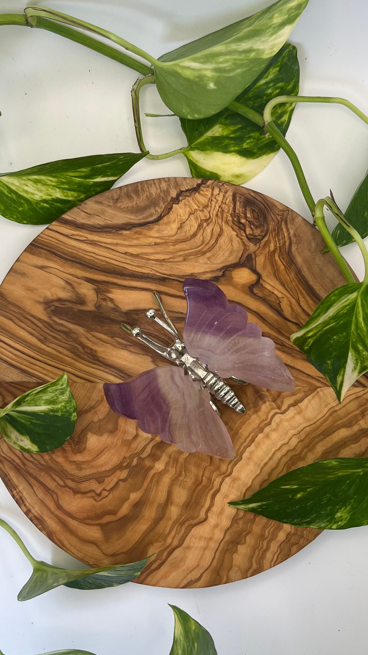 Fluorit Schmetterling (#15)