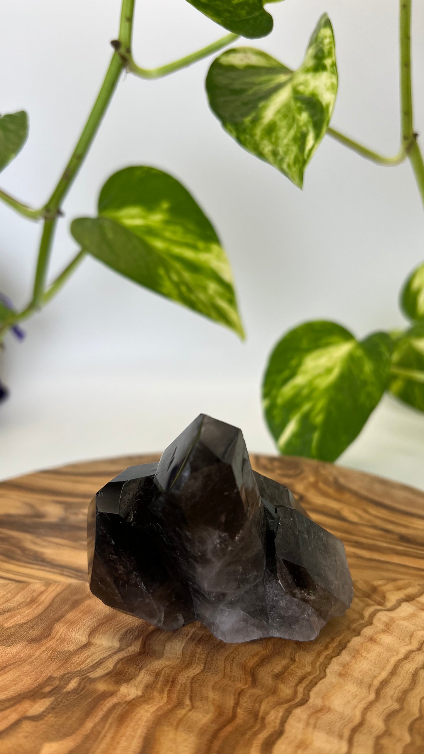 Rauchquarz Spitze (#5)