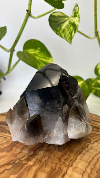 Rauchquarz Spitze (#4)