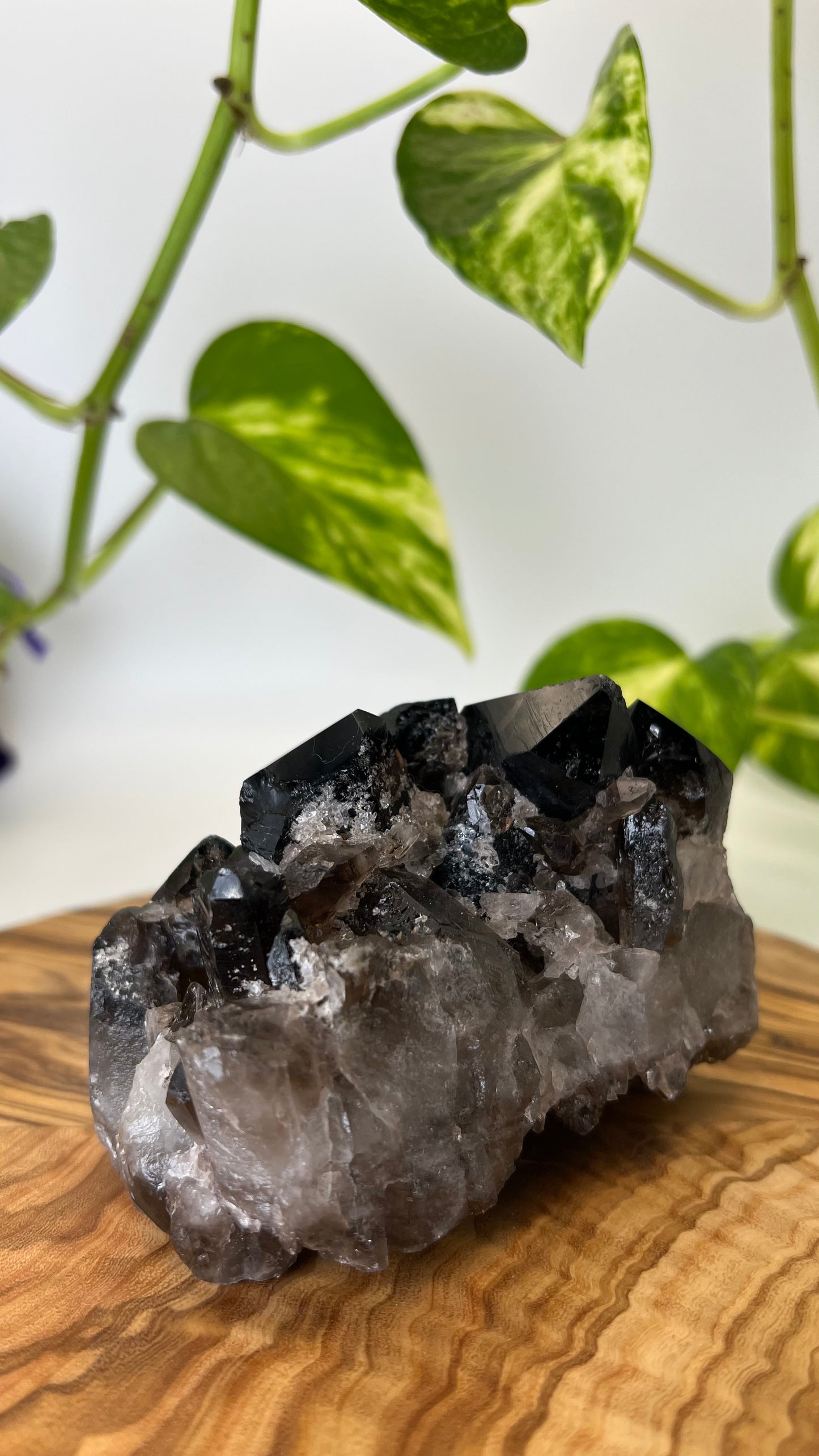 Rauchquarz Spitze (#6)