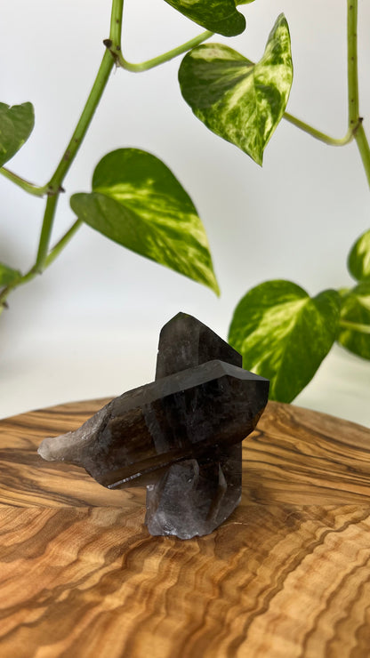 Rauchquarz Spitze (#8)