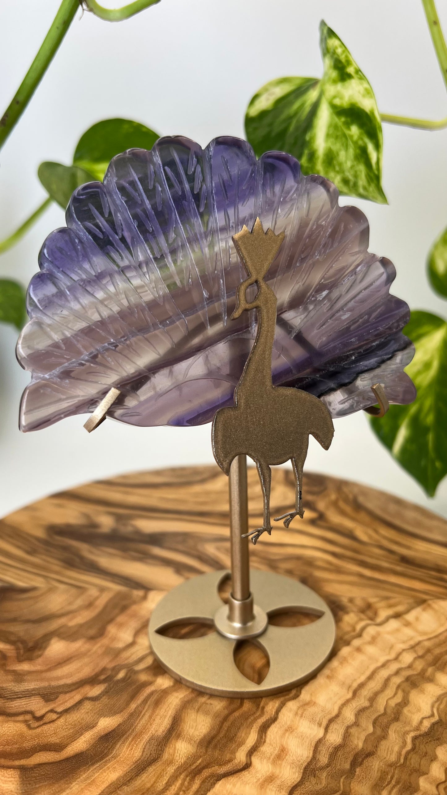 Fluorit Pfau (#21)