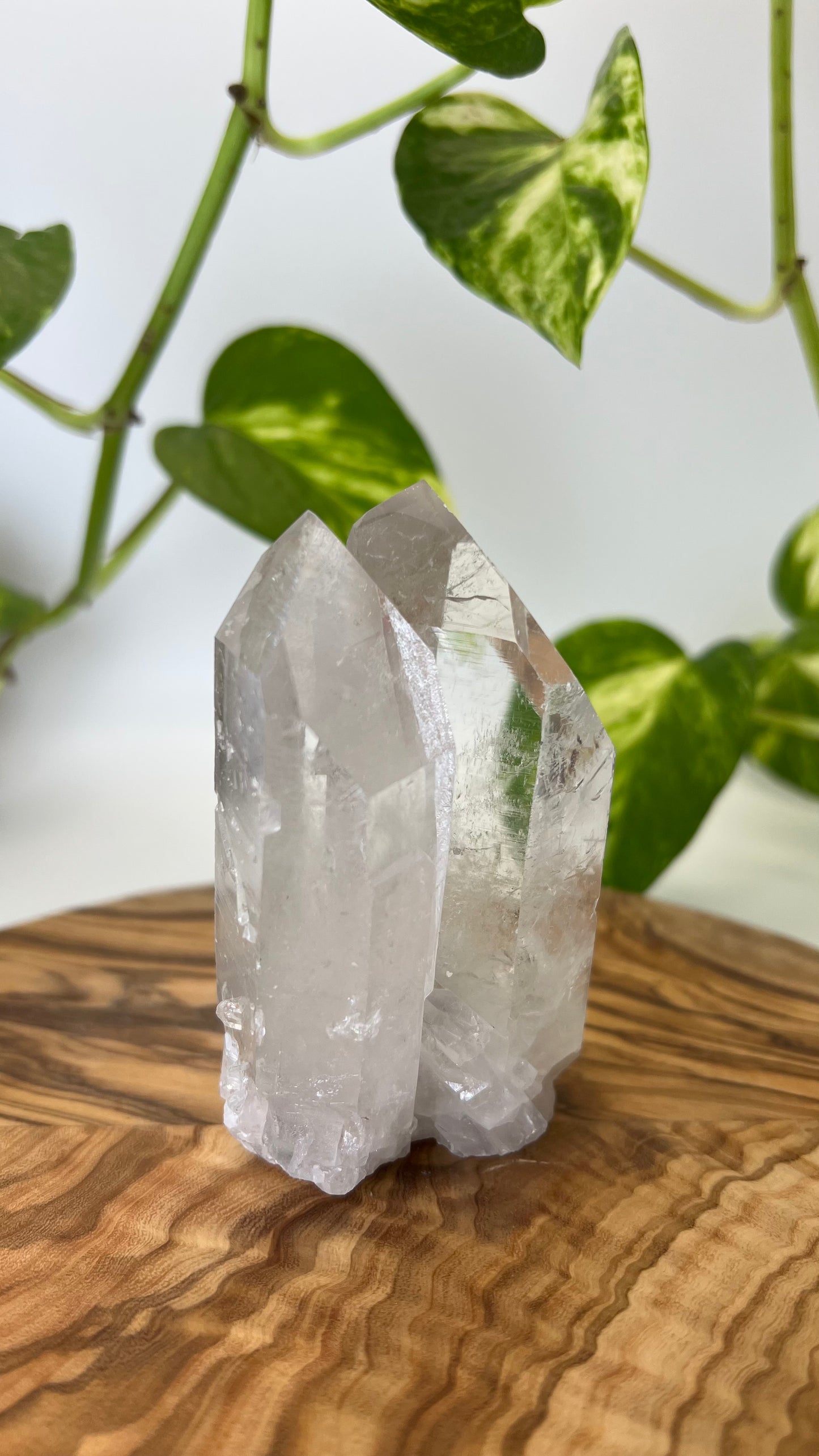 Bergkristall Spitze (#8)