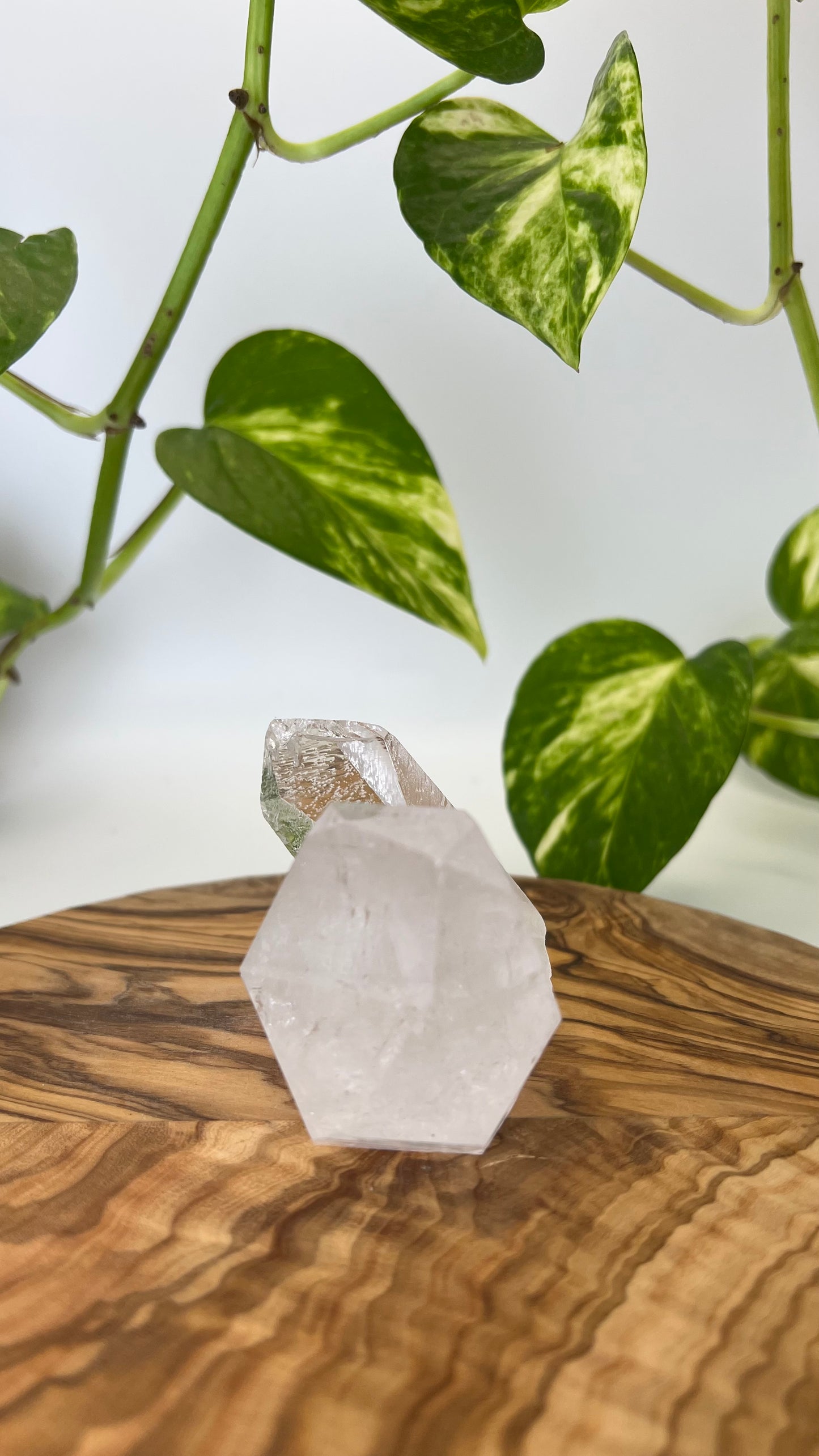 Bergkristall Spitze (#9)