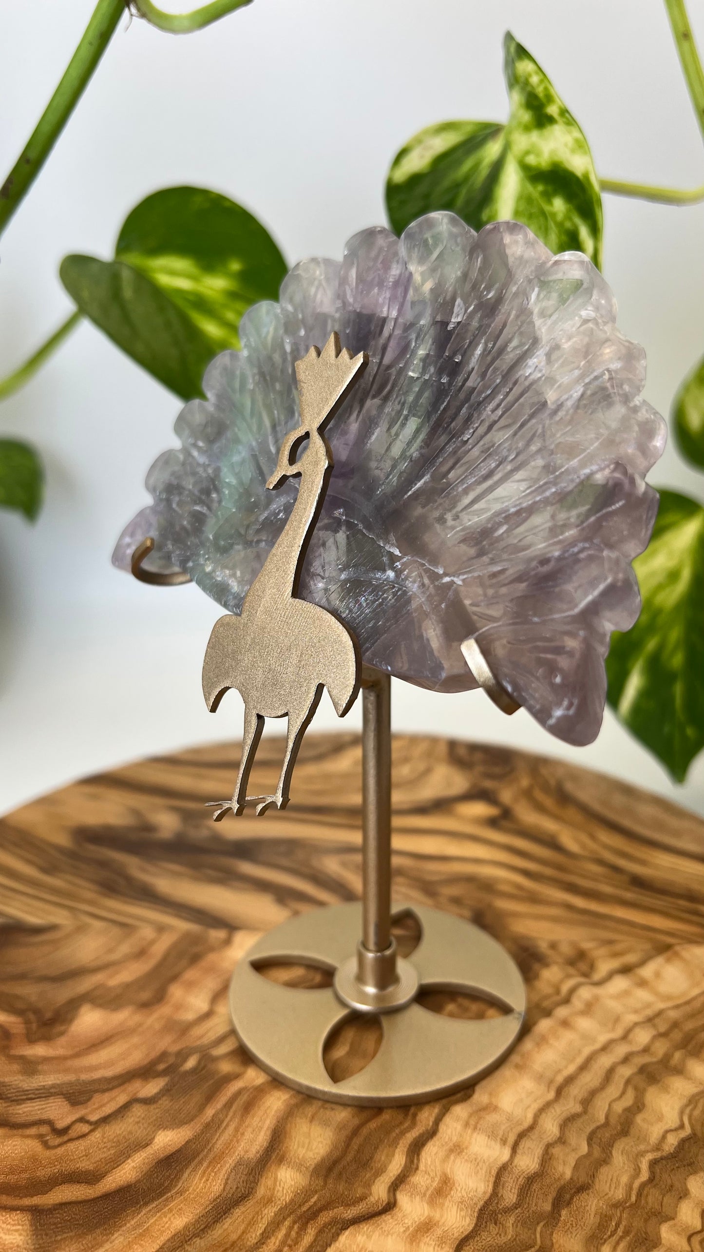 Fluorit Pfau (#22)