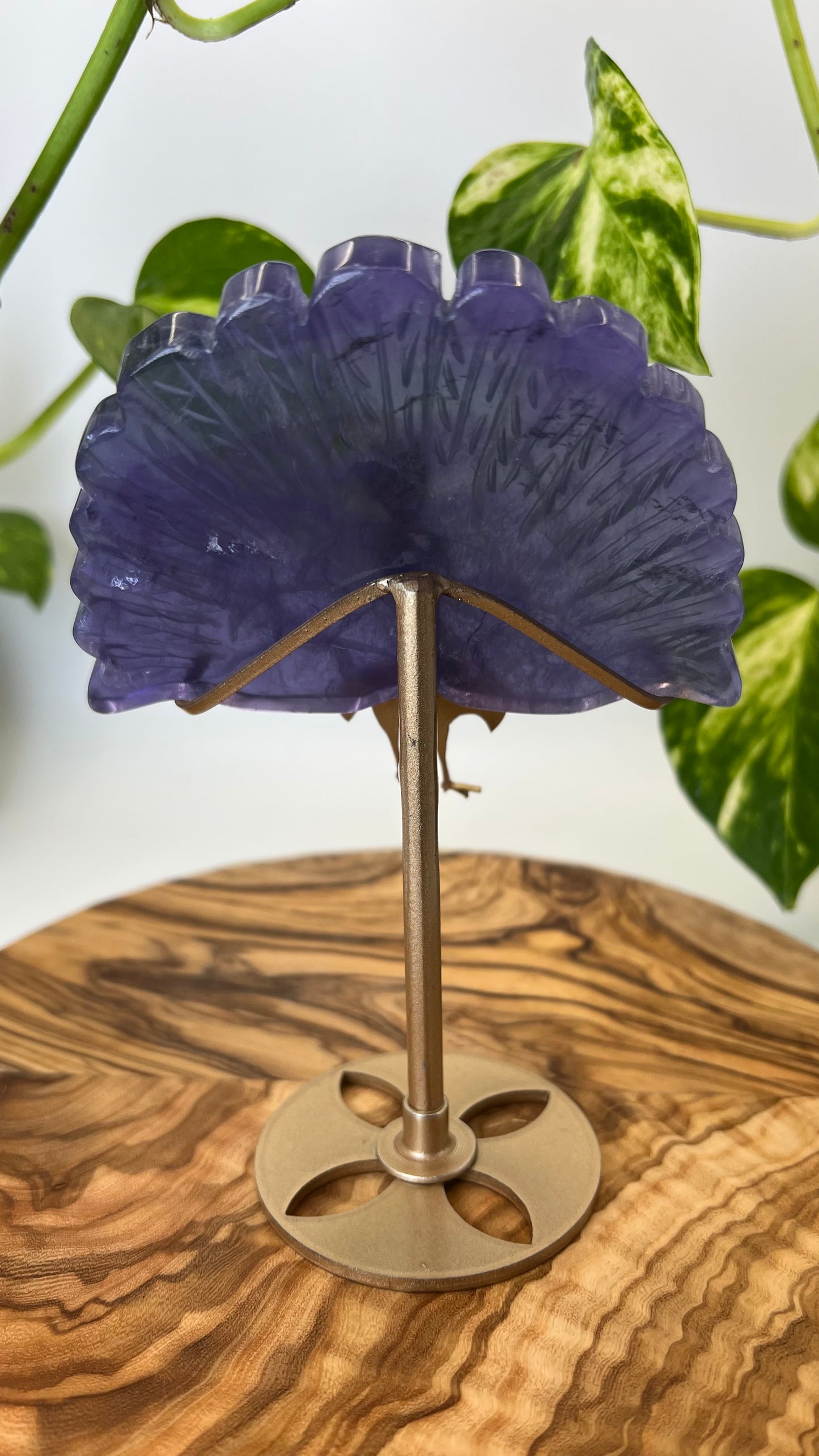 Fluorit Pfau (#19)