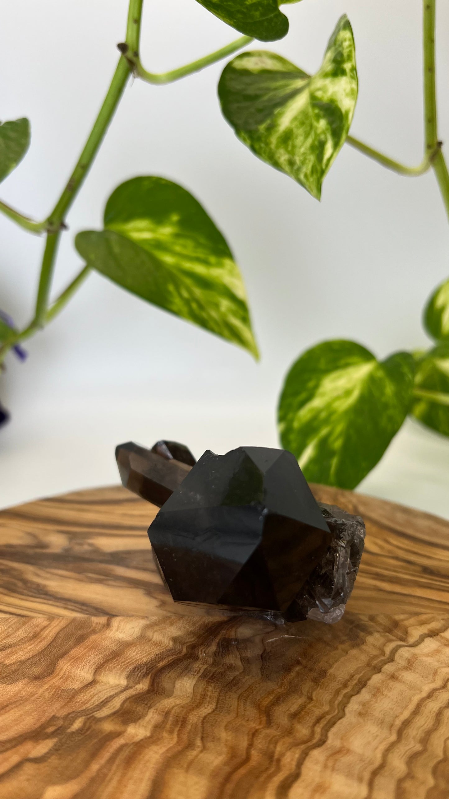 Rauchquarz Spitze (#3)