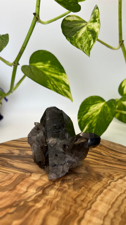 Rauchquarz Spitze (#3)