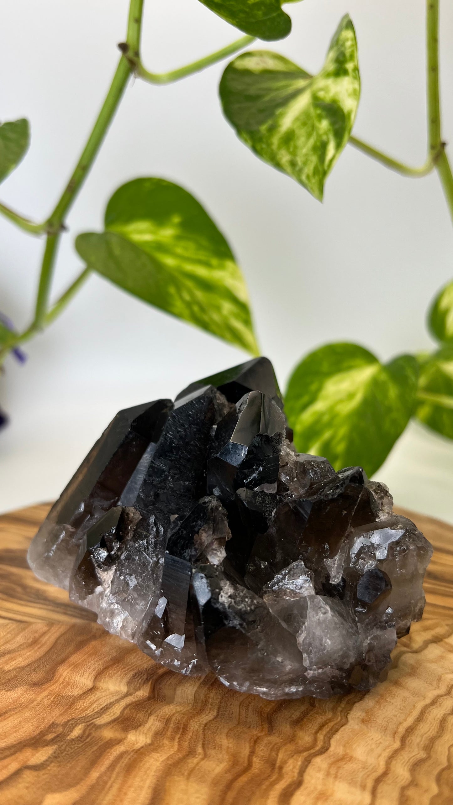 Rauchquarz Spitze (#6)