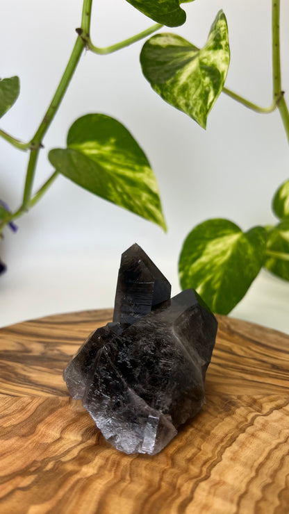 Rauchquarz Spitze (#5)