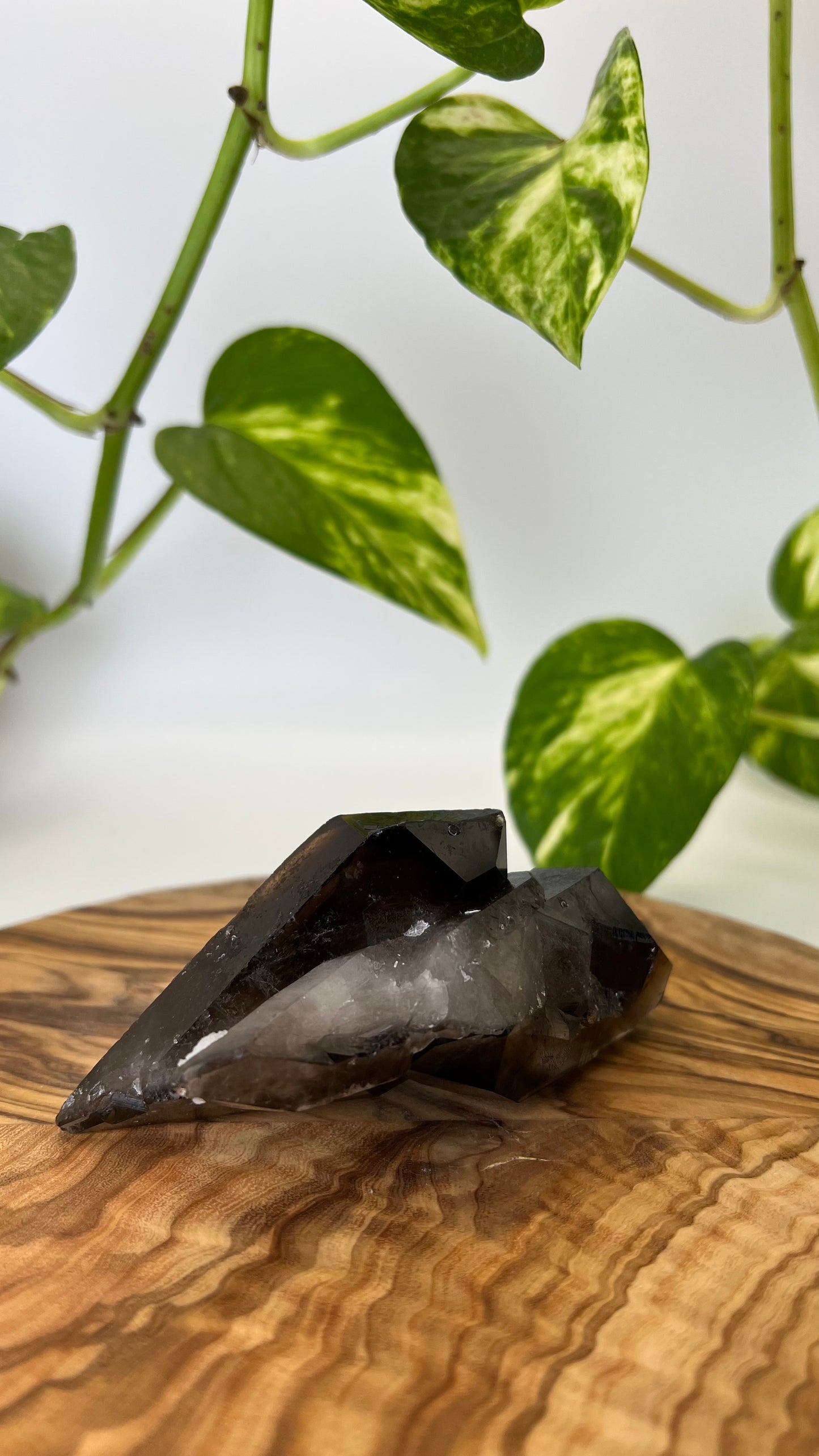 Rauchquarz Spitze (#7)