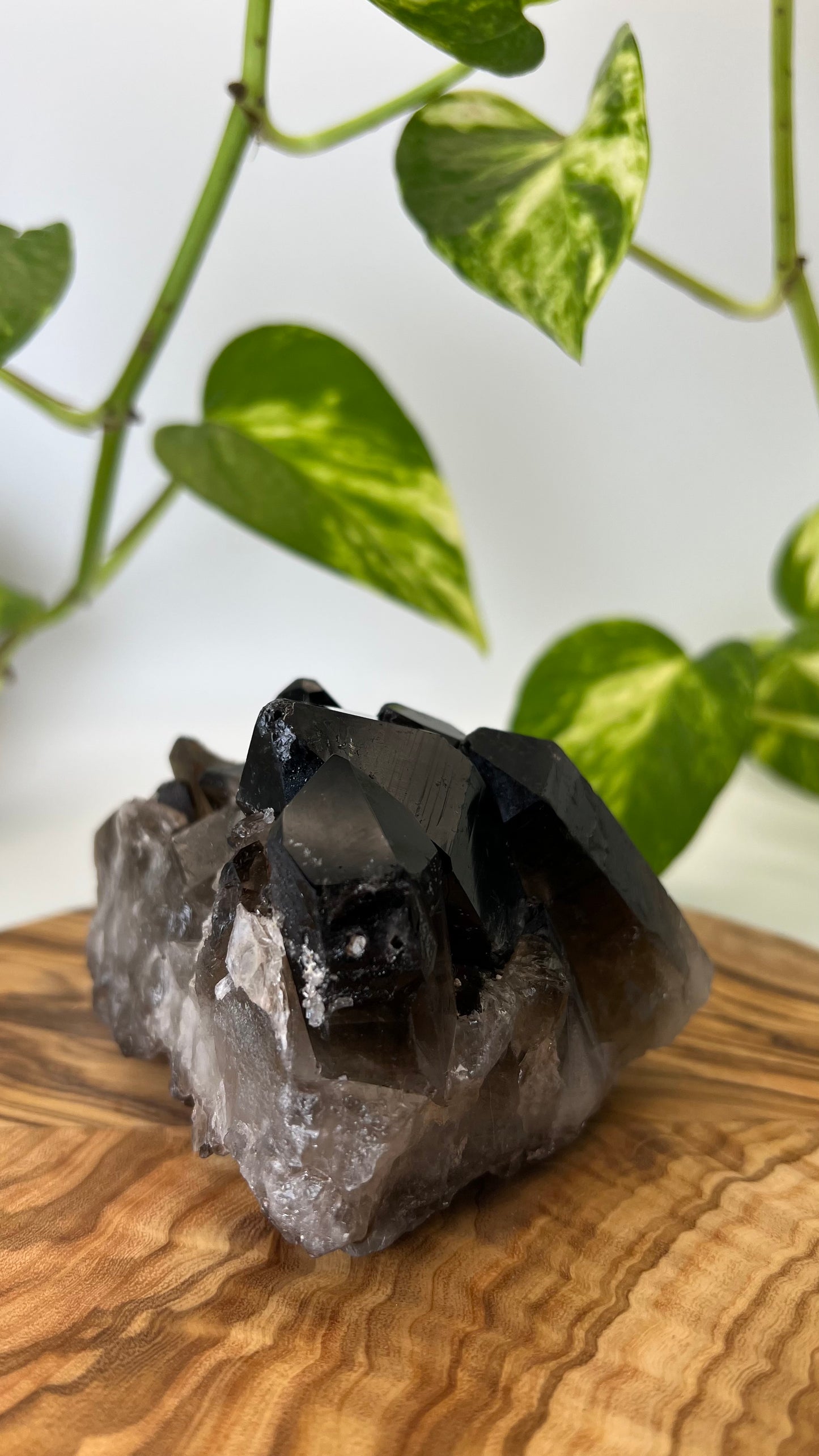 Rauchquarz Spitze (#6)