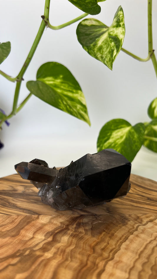 Rauchquarz Spitze (#3)